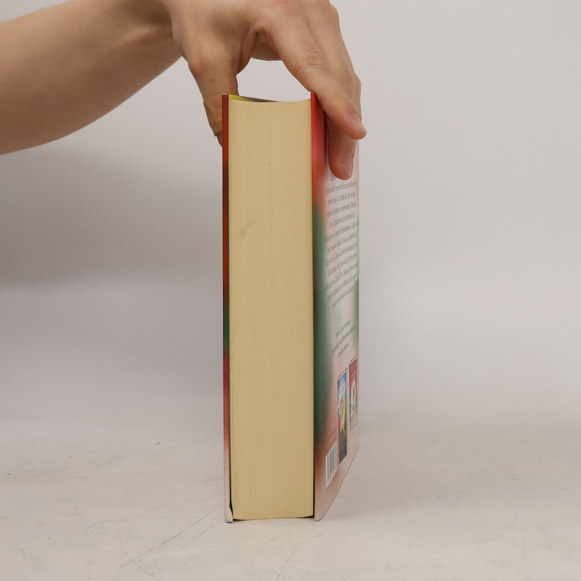 Cecelia Ahern Perfect - willst du die perfekte Welt?