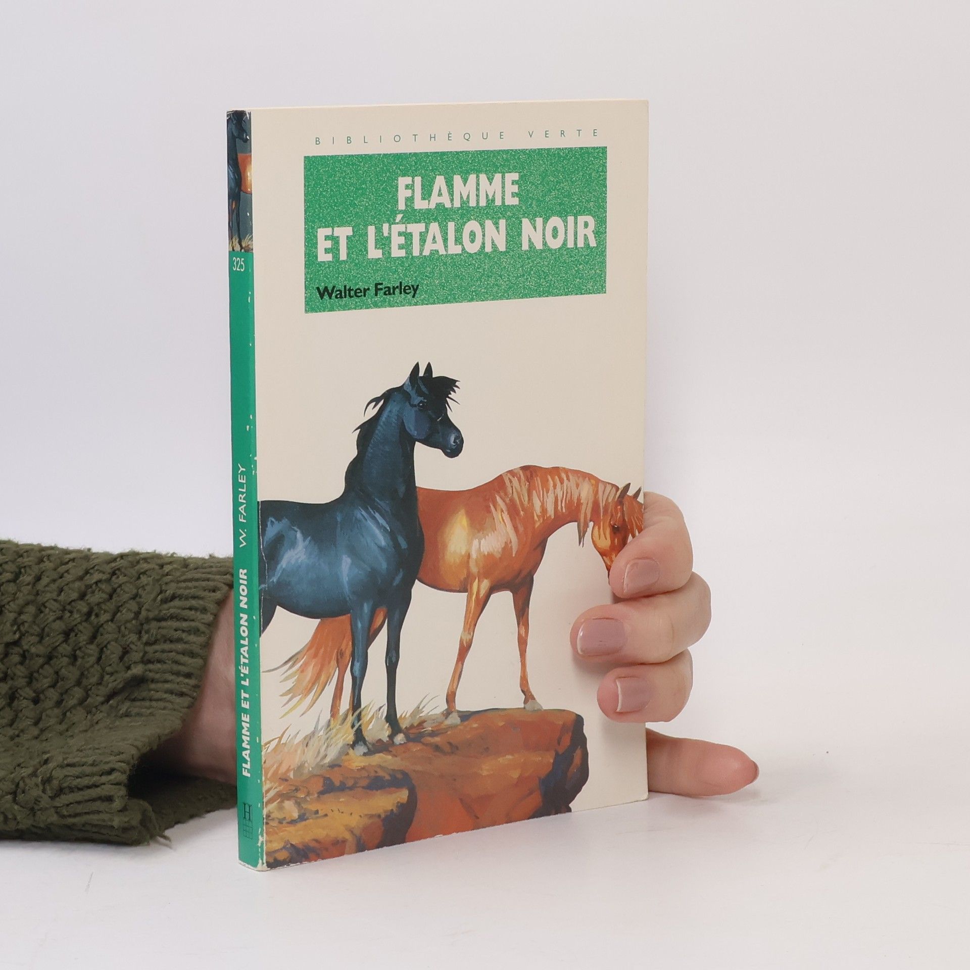 Flamme et l'Étalon noir
