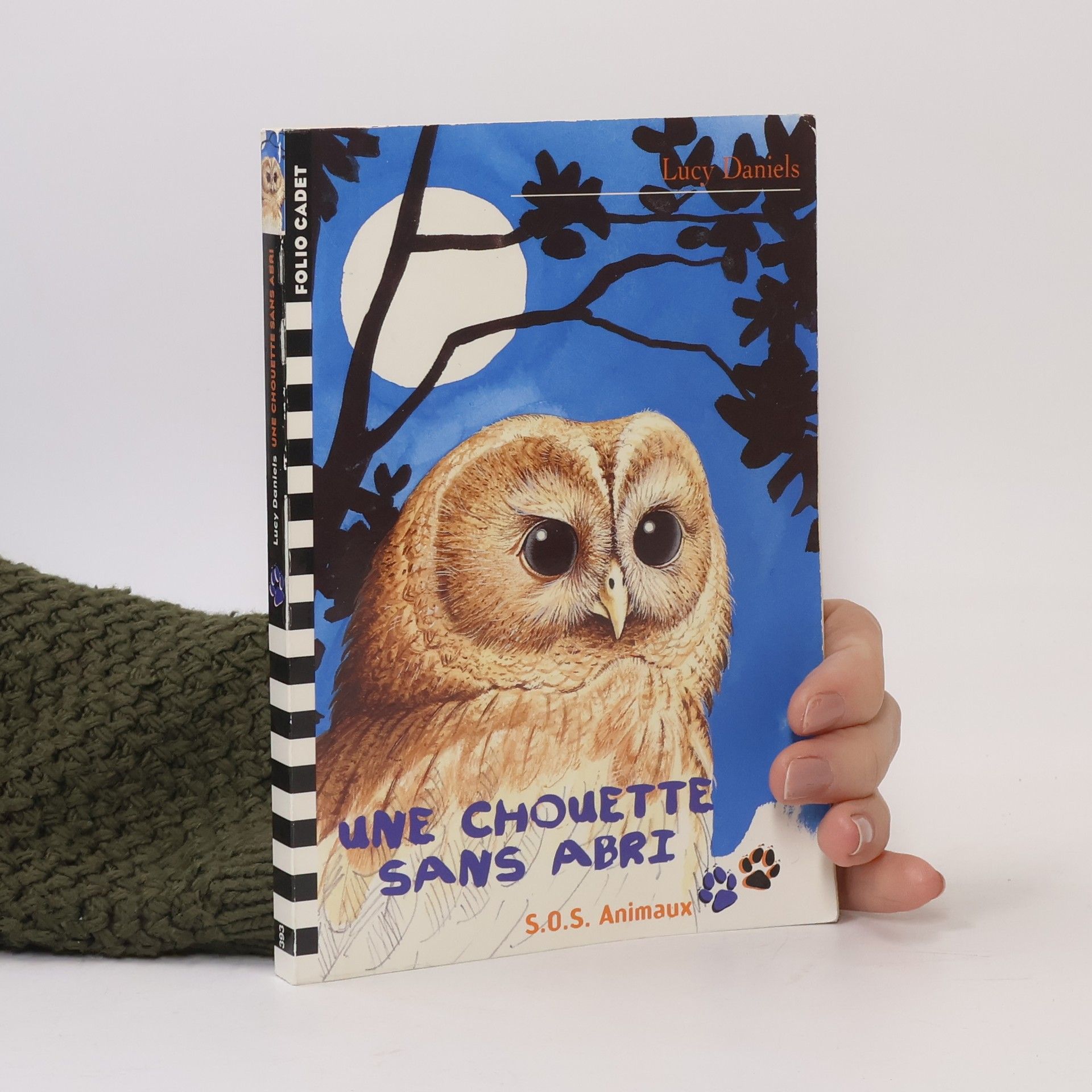 Lucy Daniels Une chouette sans abri