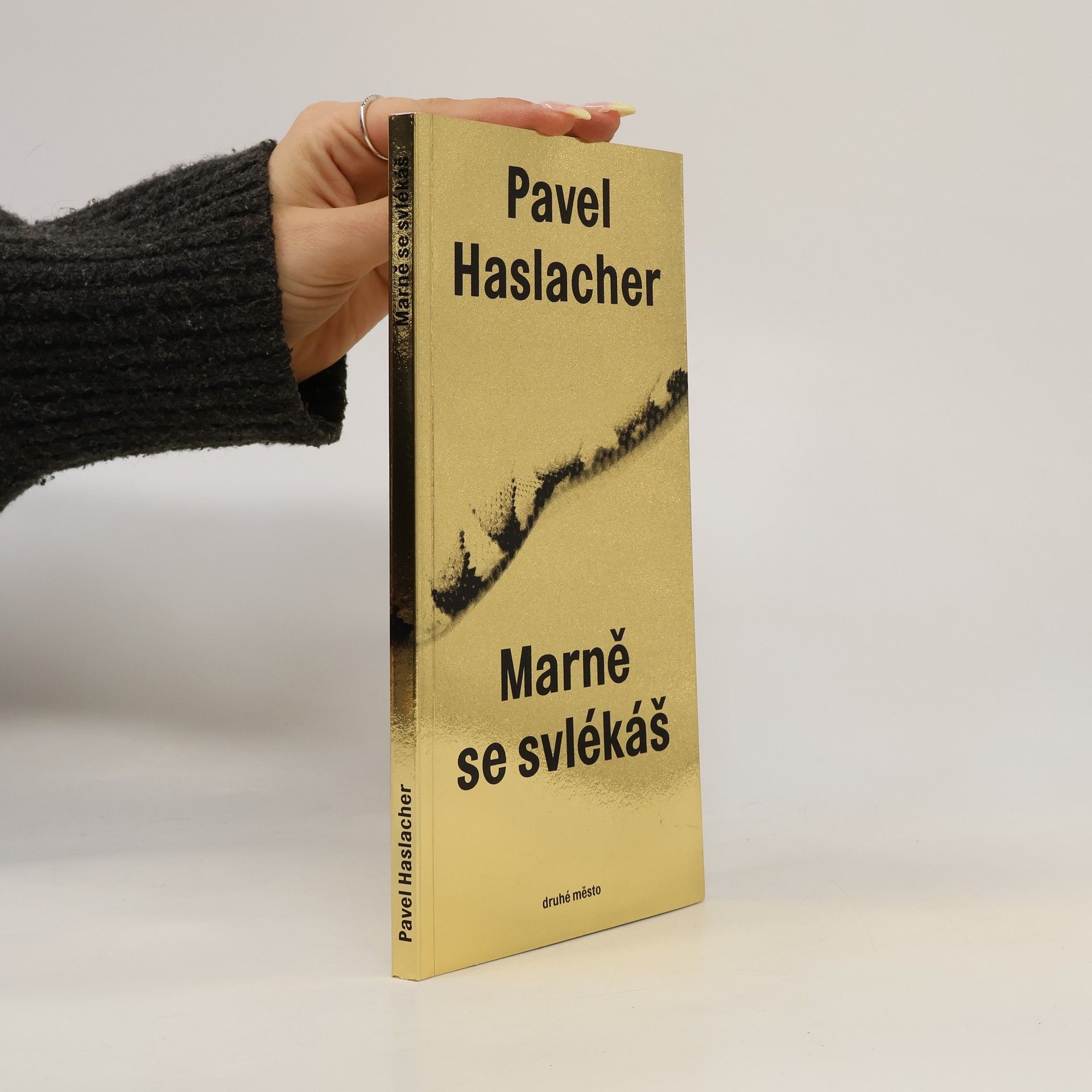 Pavel Haslacher Marně se svlékáš