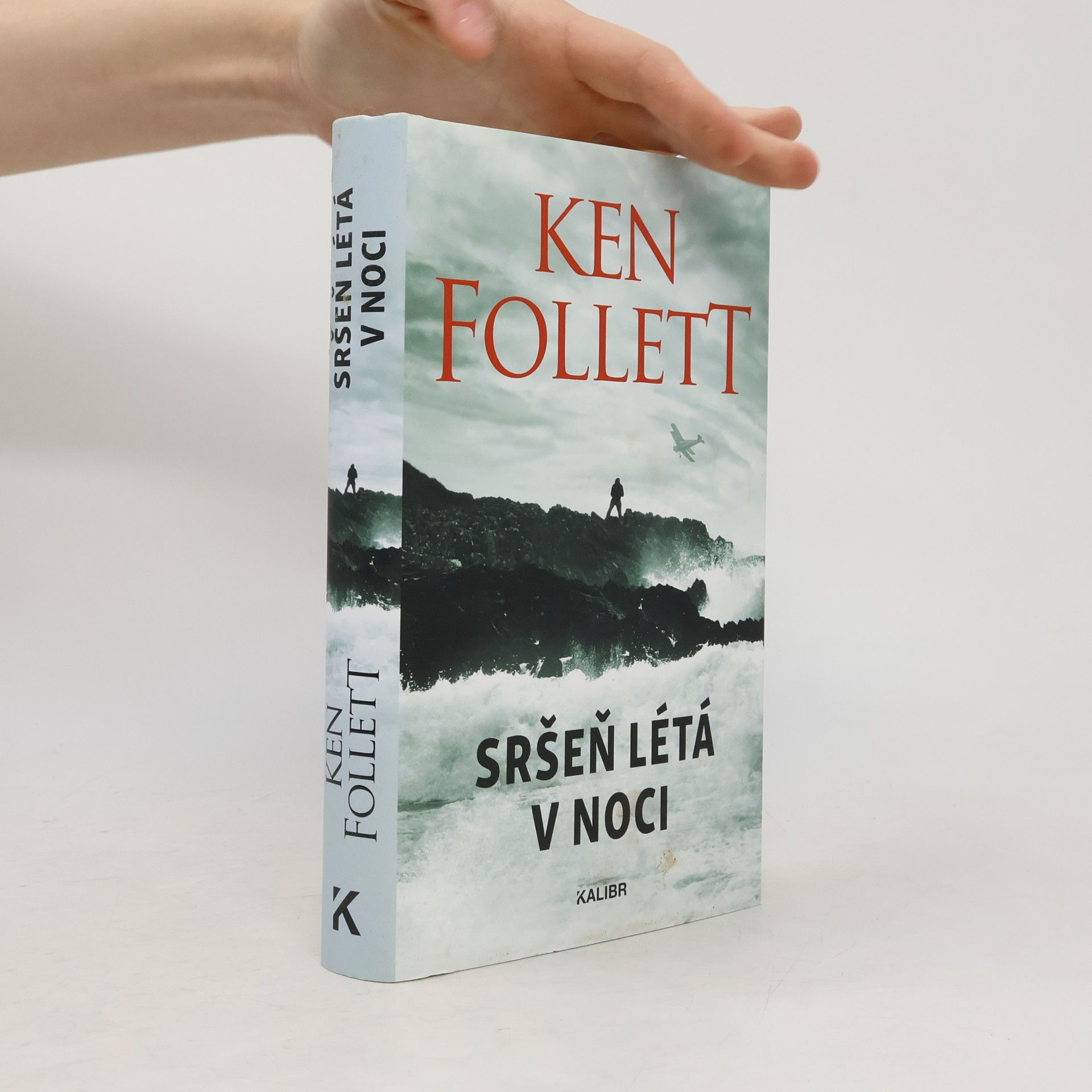 Sršeň létá v noci