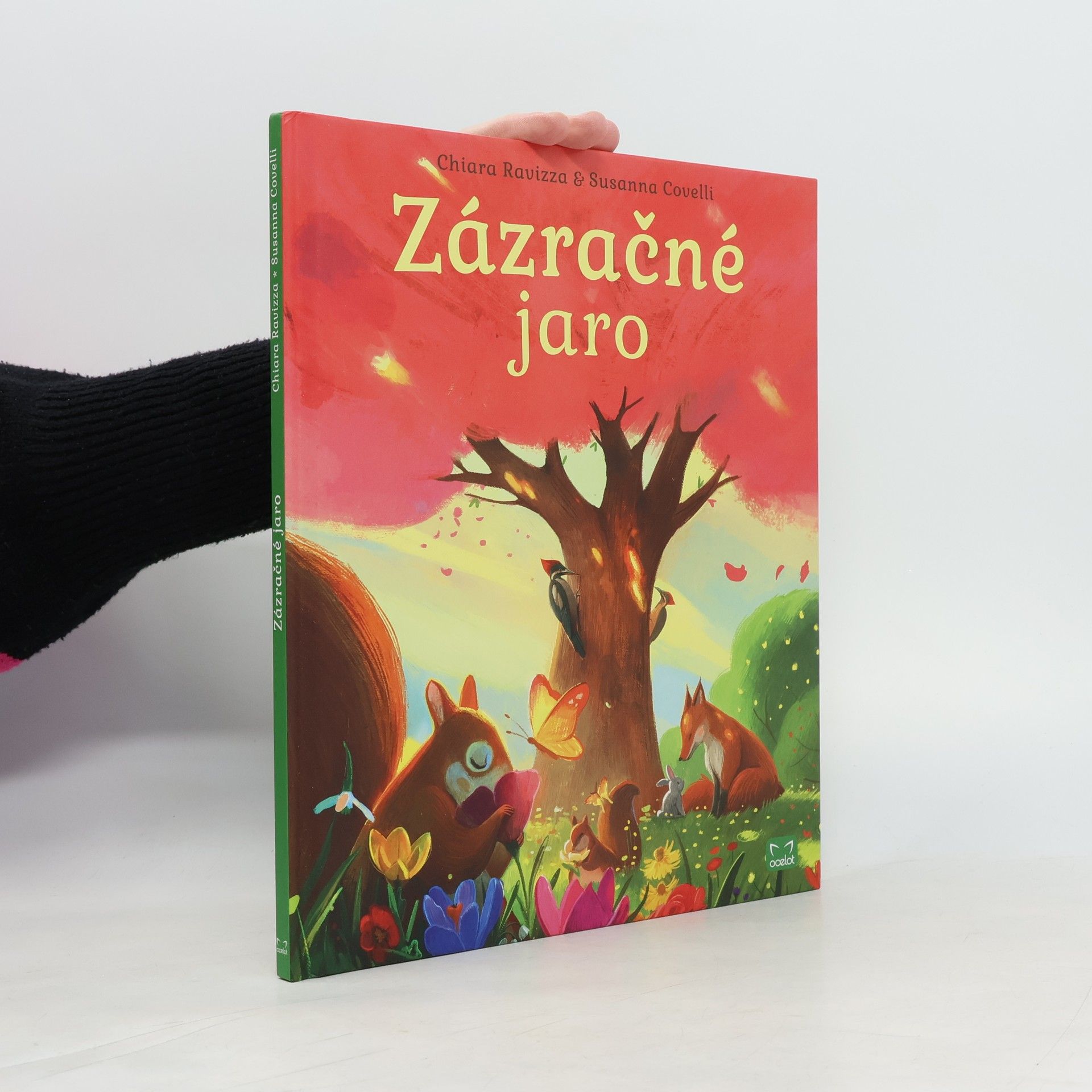 Chiara Ravizza Zázračné jaro