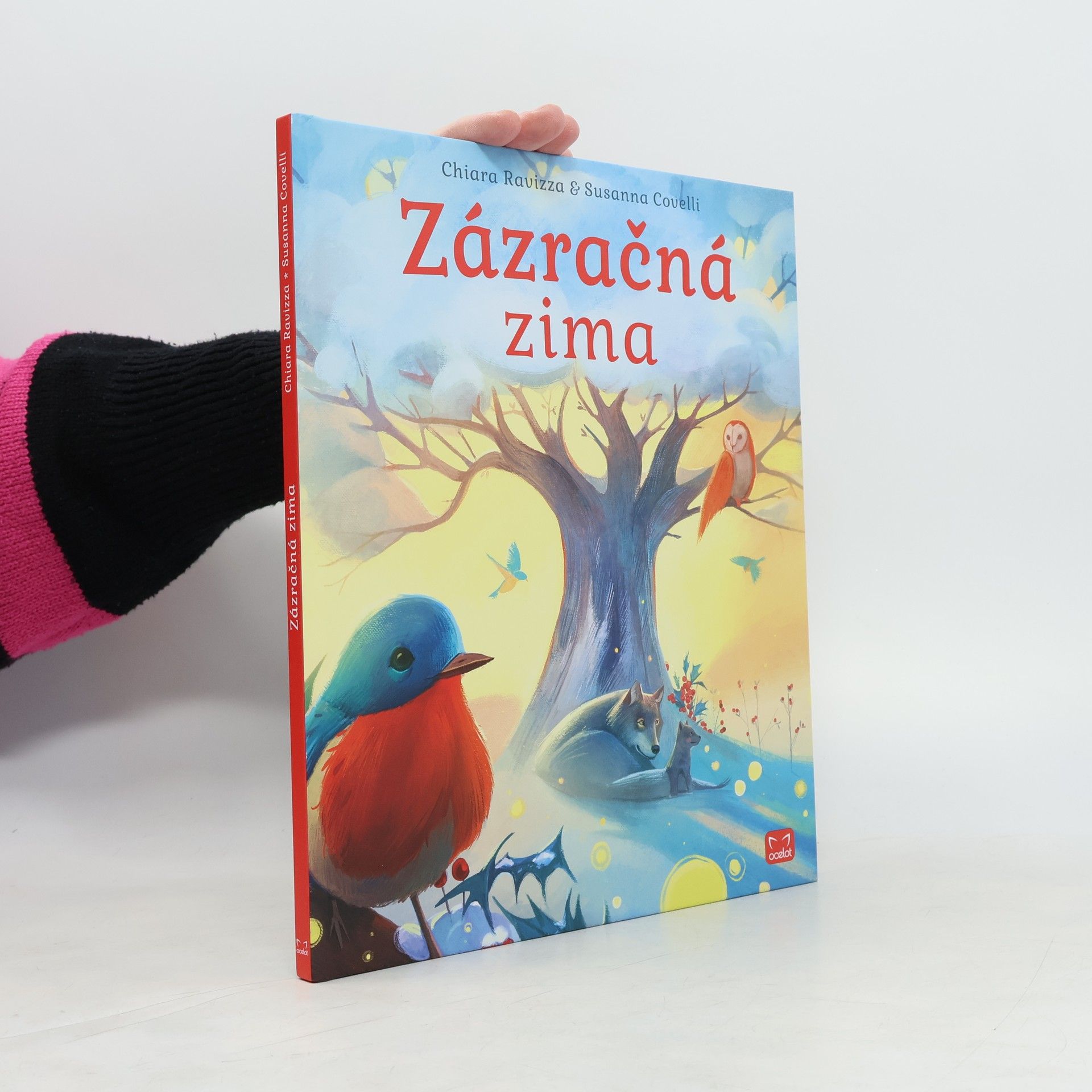 Chiara Ravizza Zázračná zima