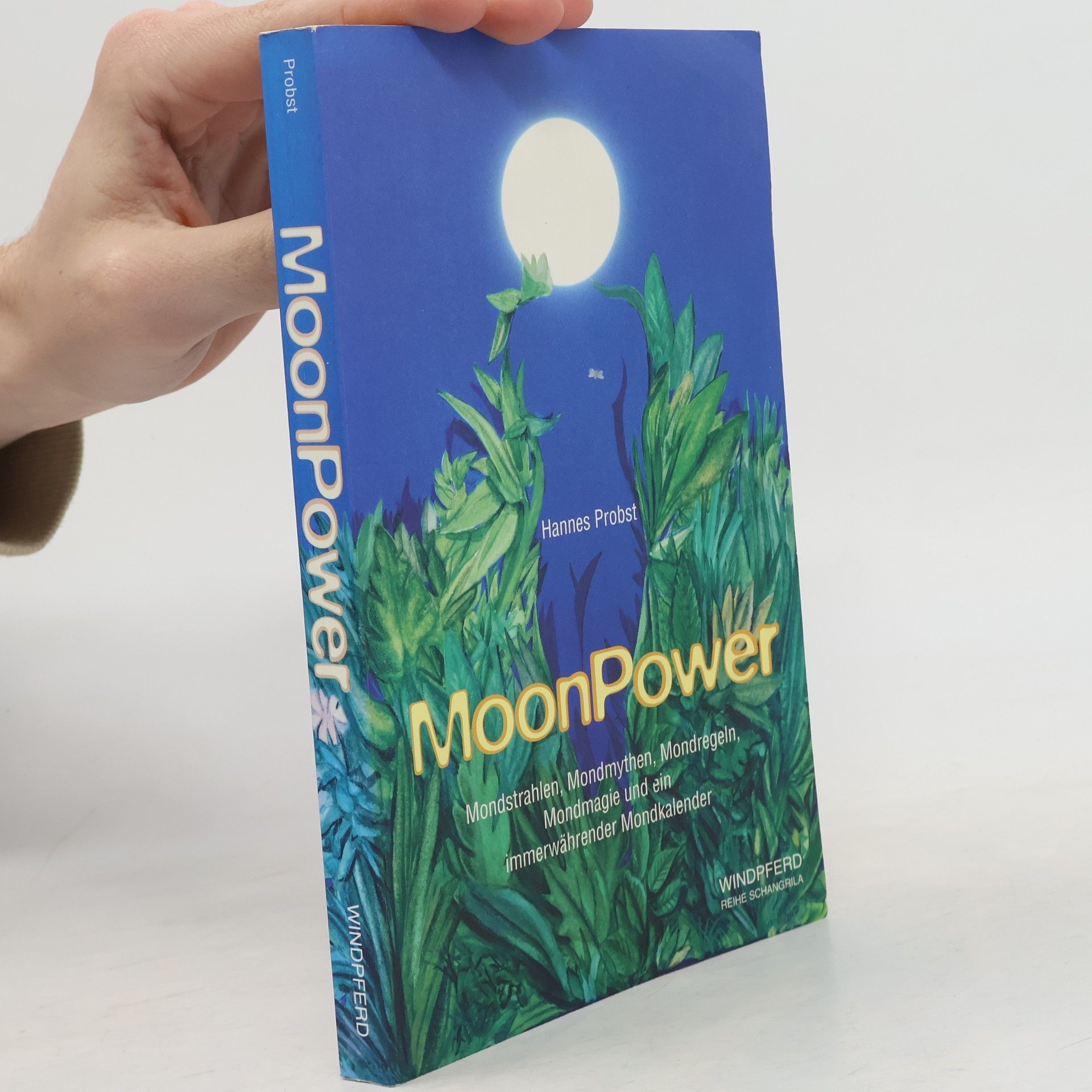 Hannes Probst MoonPower