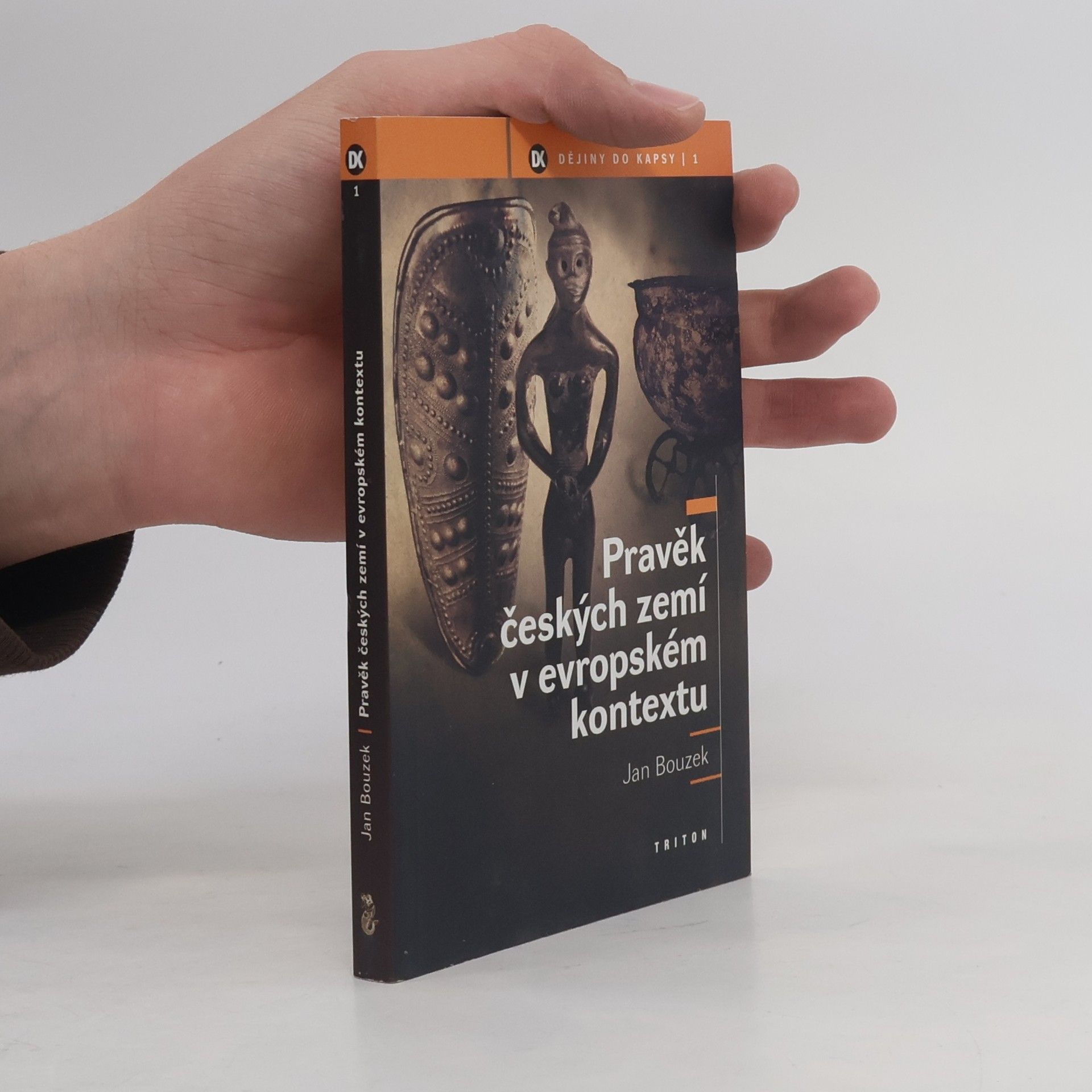 Jan Bouzek Pravěk českých zemí v evropském kontextu