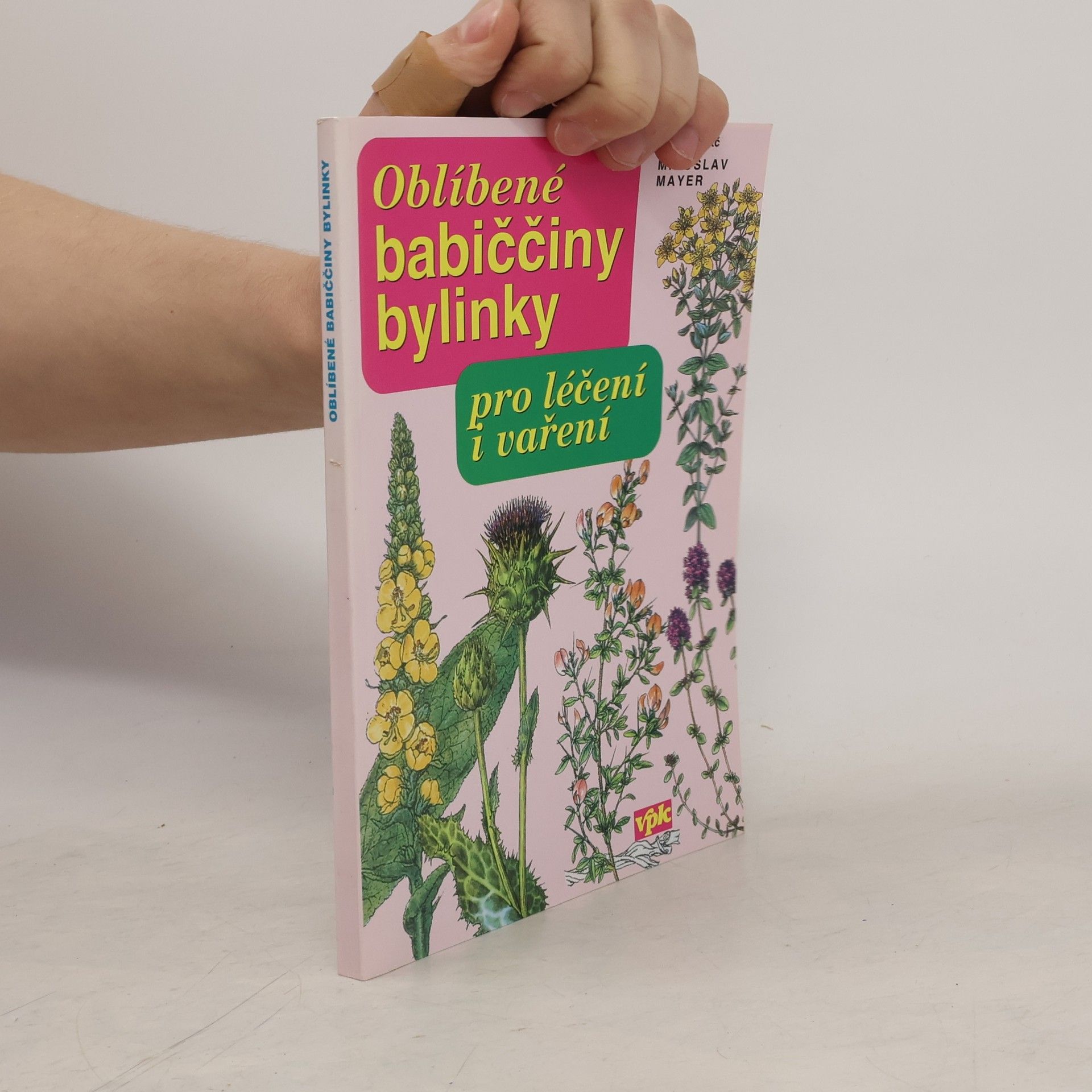 Miroslav Mayer Oblíbené babiččiny bylinky pro léčení i vaření