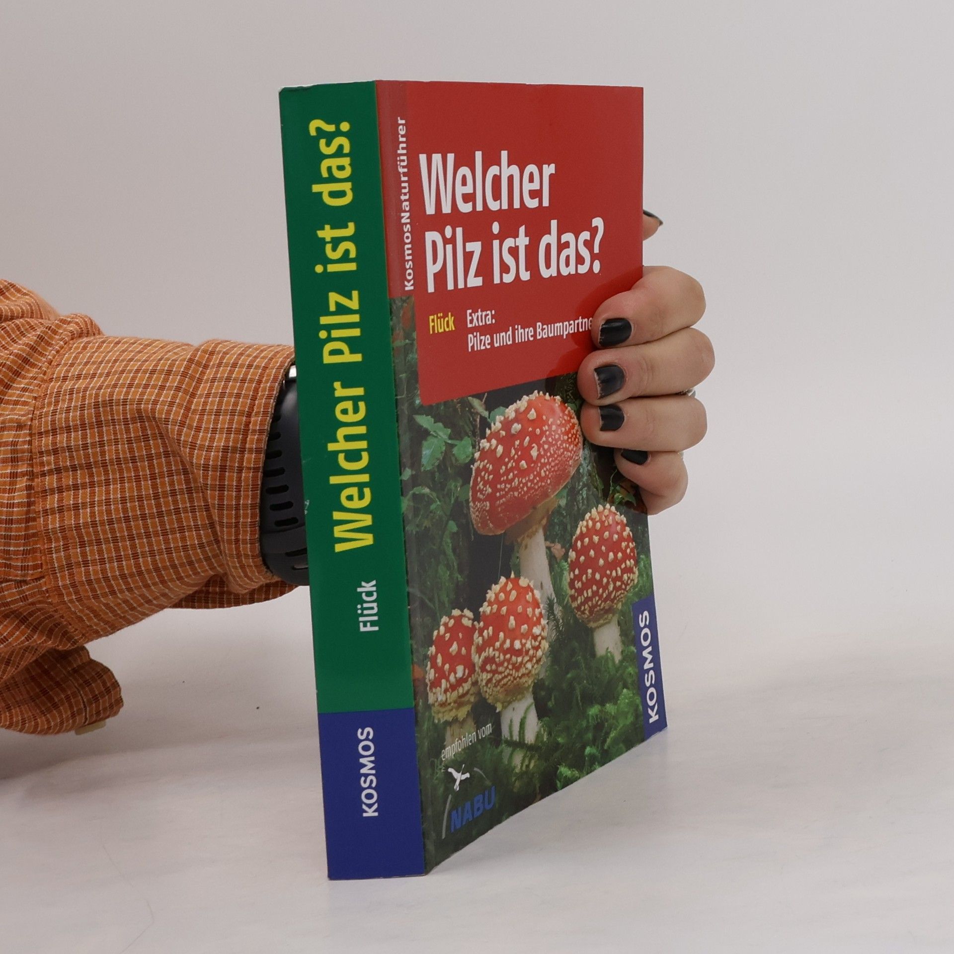 Markus Flück Welcher Pilz ist das?