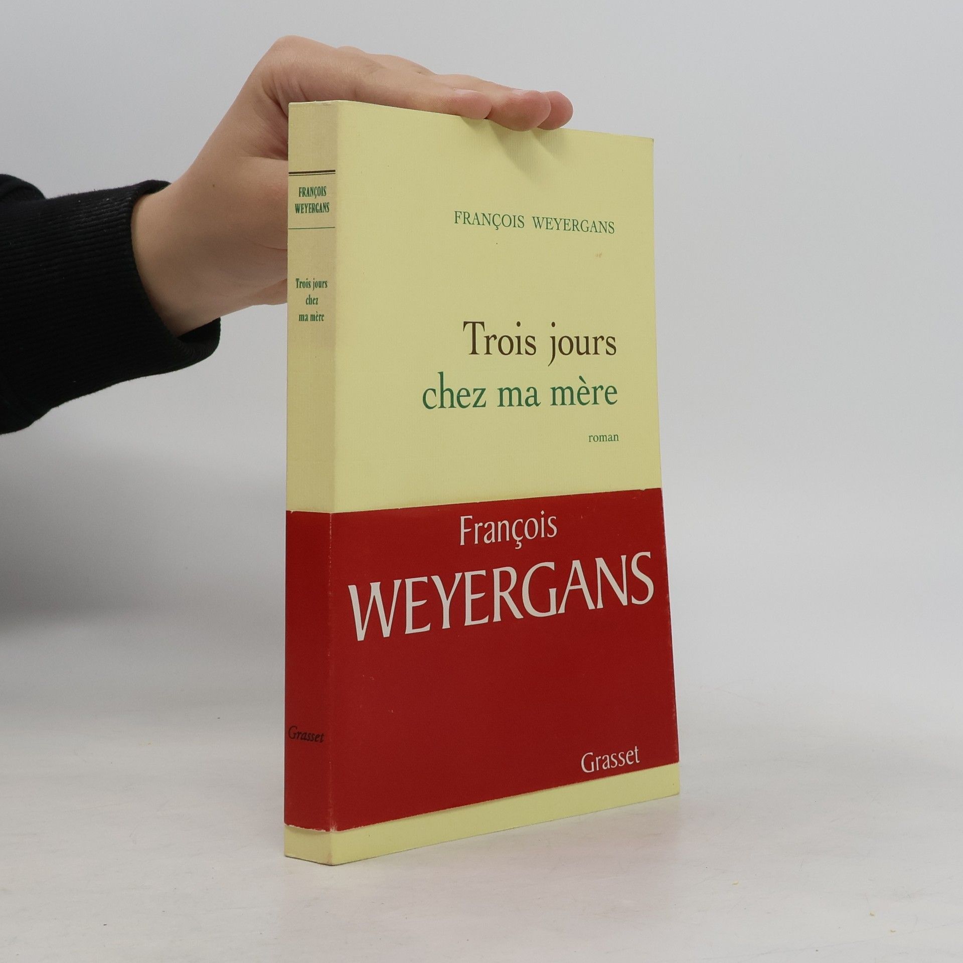 Trois jours chez ma mère