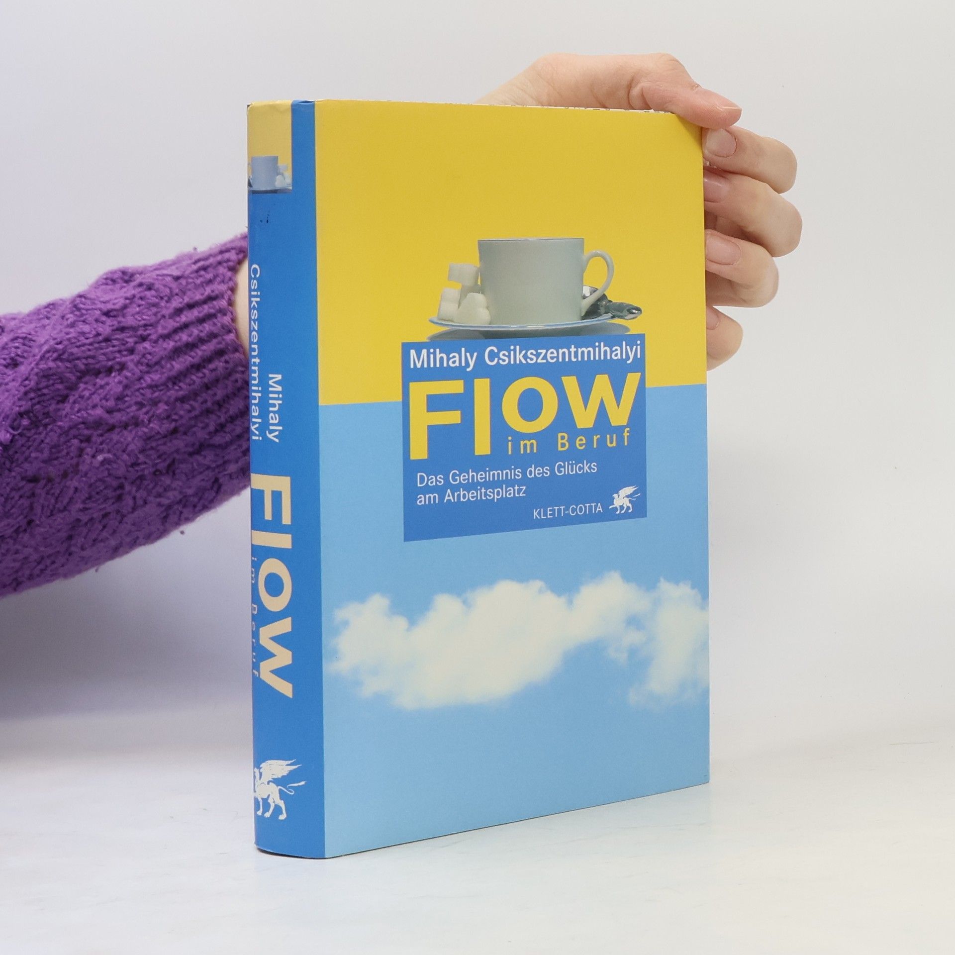 Mihaly Csikszentmihalyi Flow im Beruf