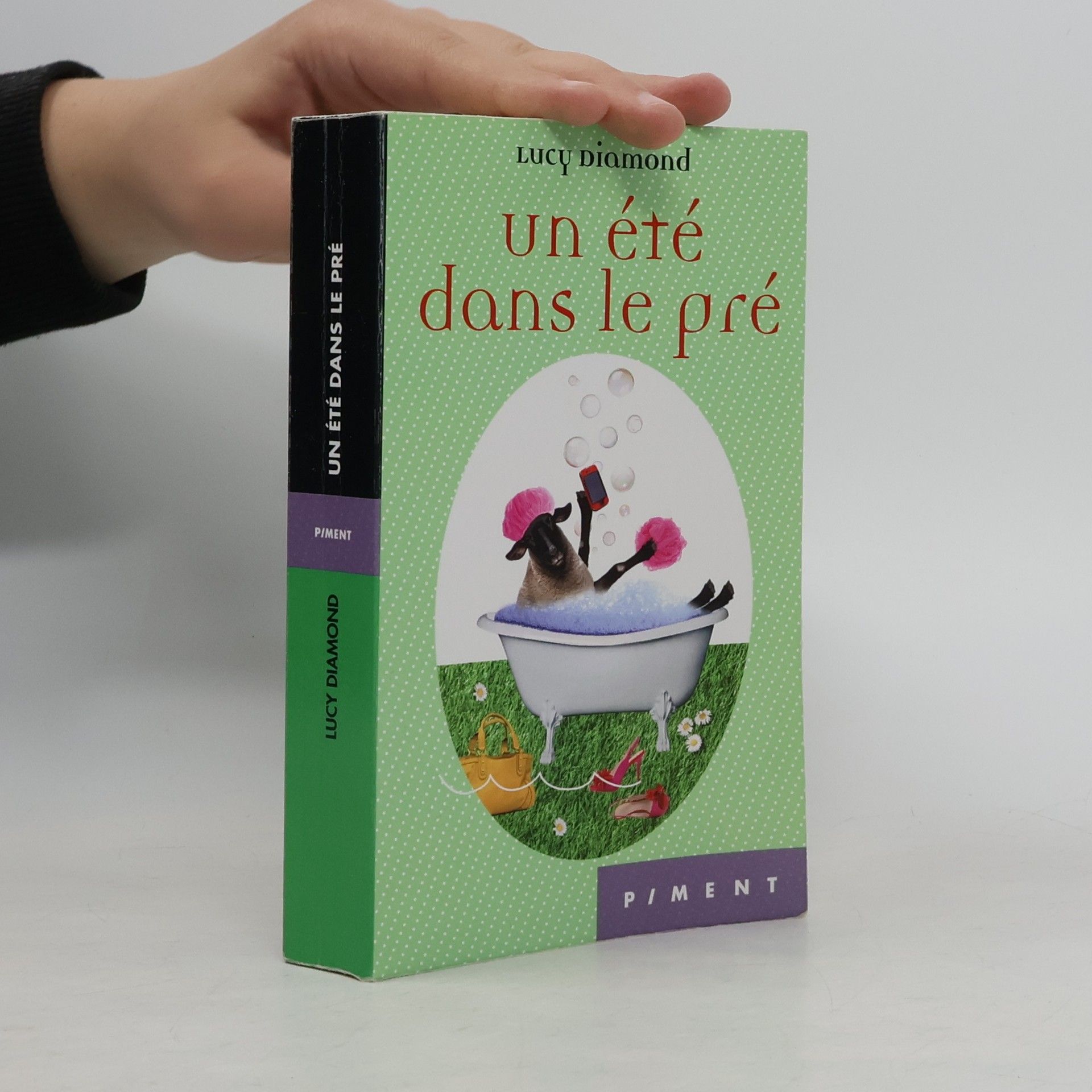 Lucy Diamond Un été dans le pré