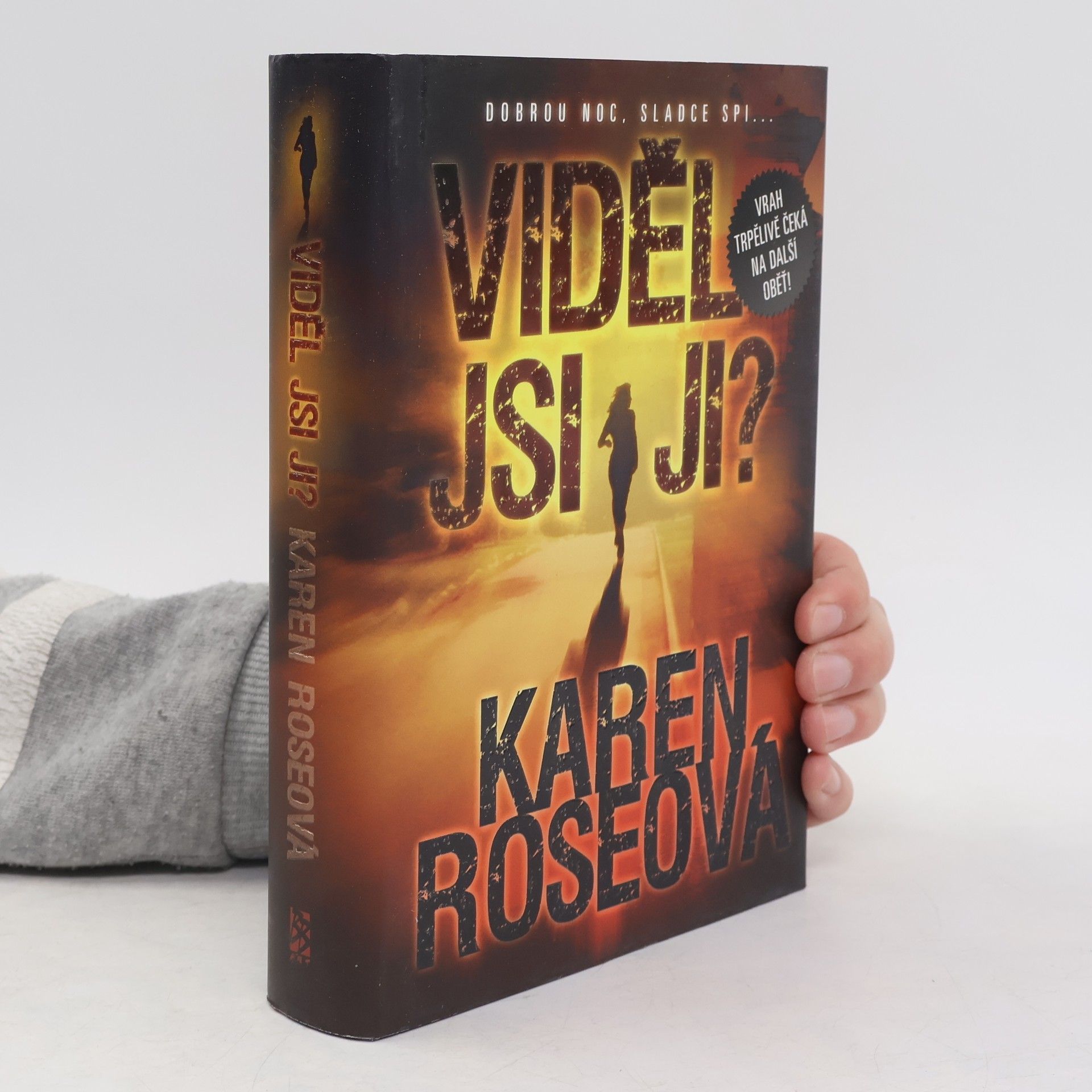 Karen Rose Viděl jsi ji?