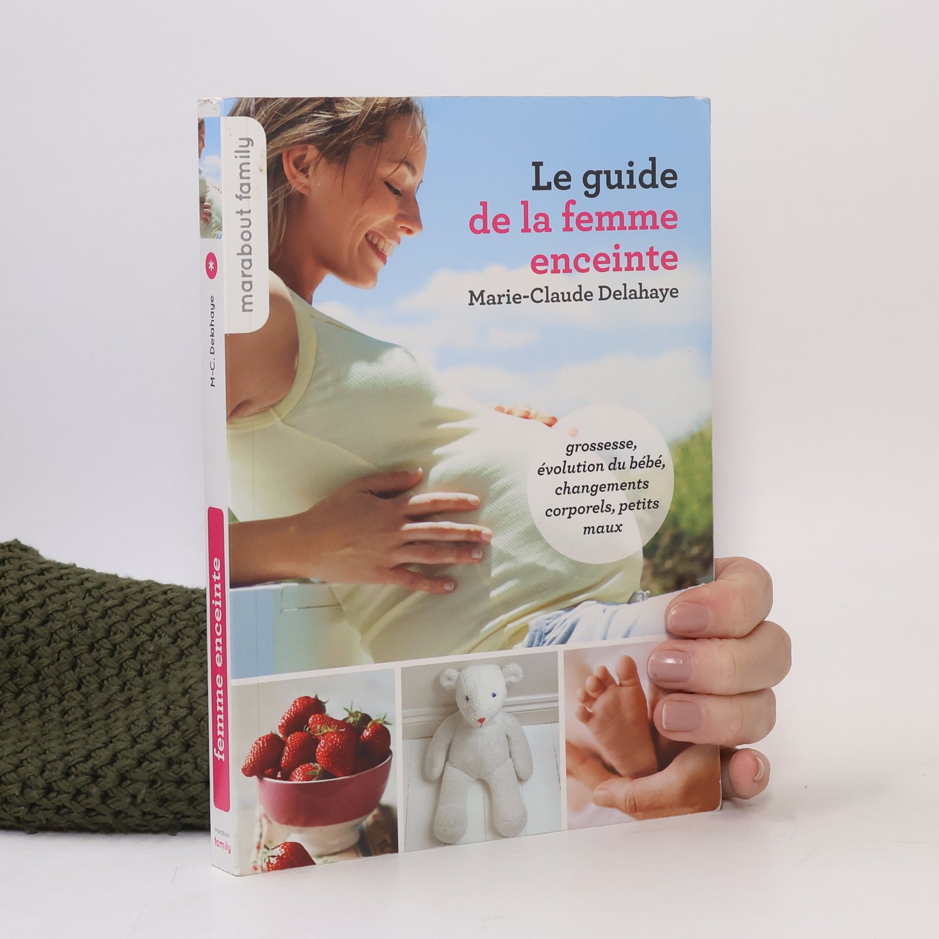 Marie-Claude Delahaye Le guide de la femme enceinte
