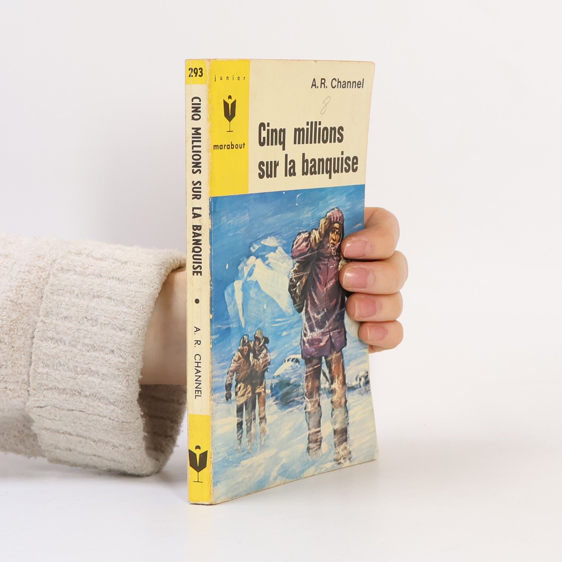 Cinq millions sur la banquise