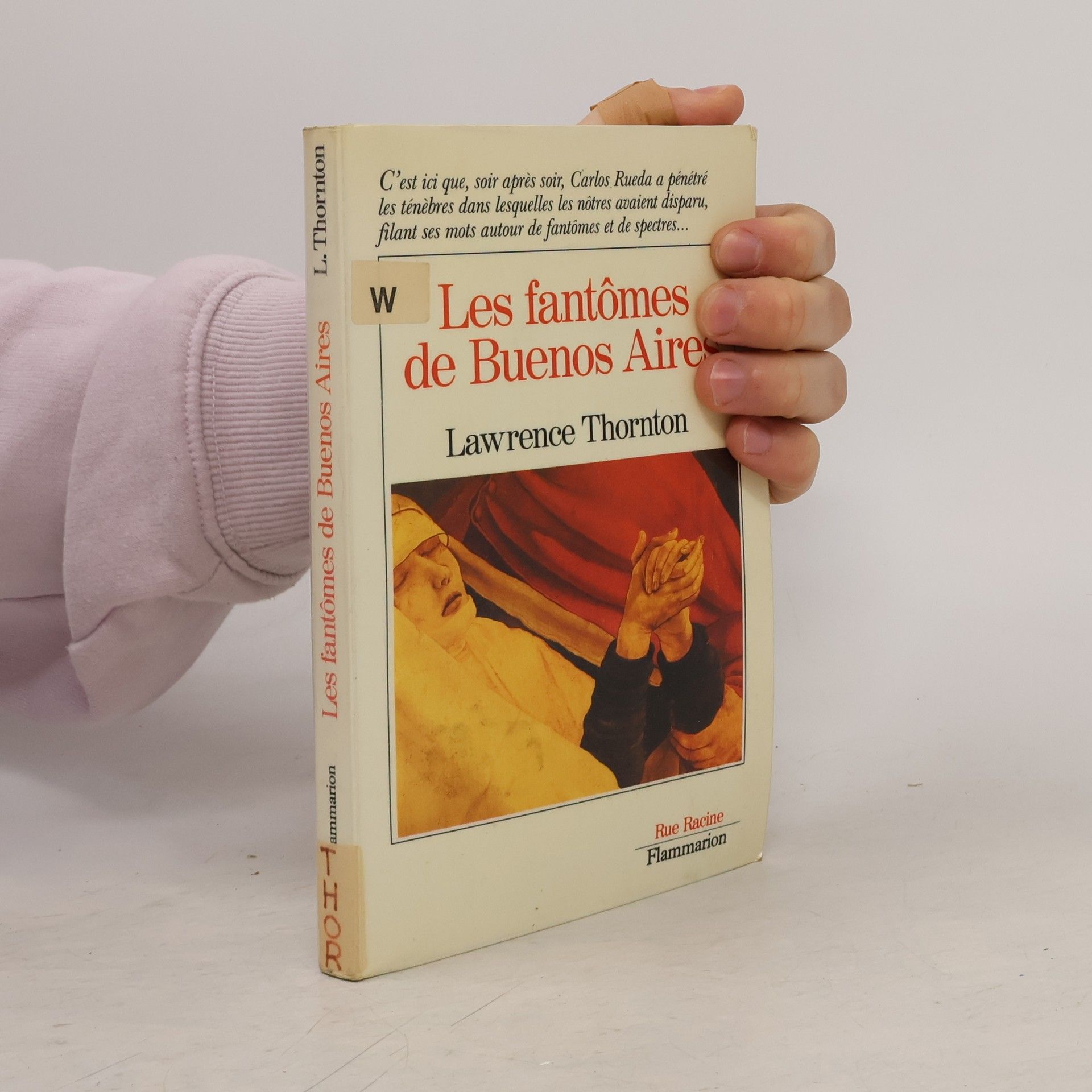 Lawrence Thornton Les fantômes de Buenos Aires