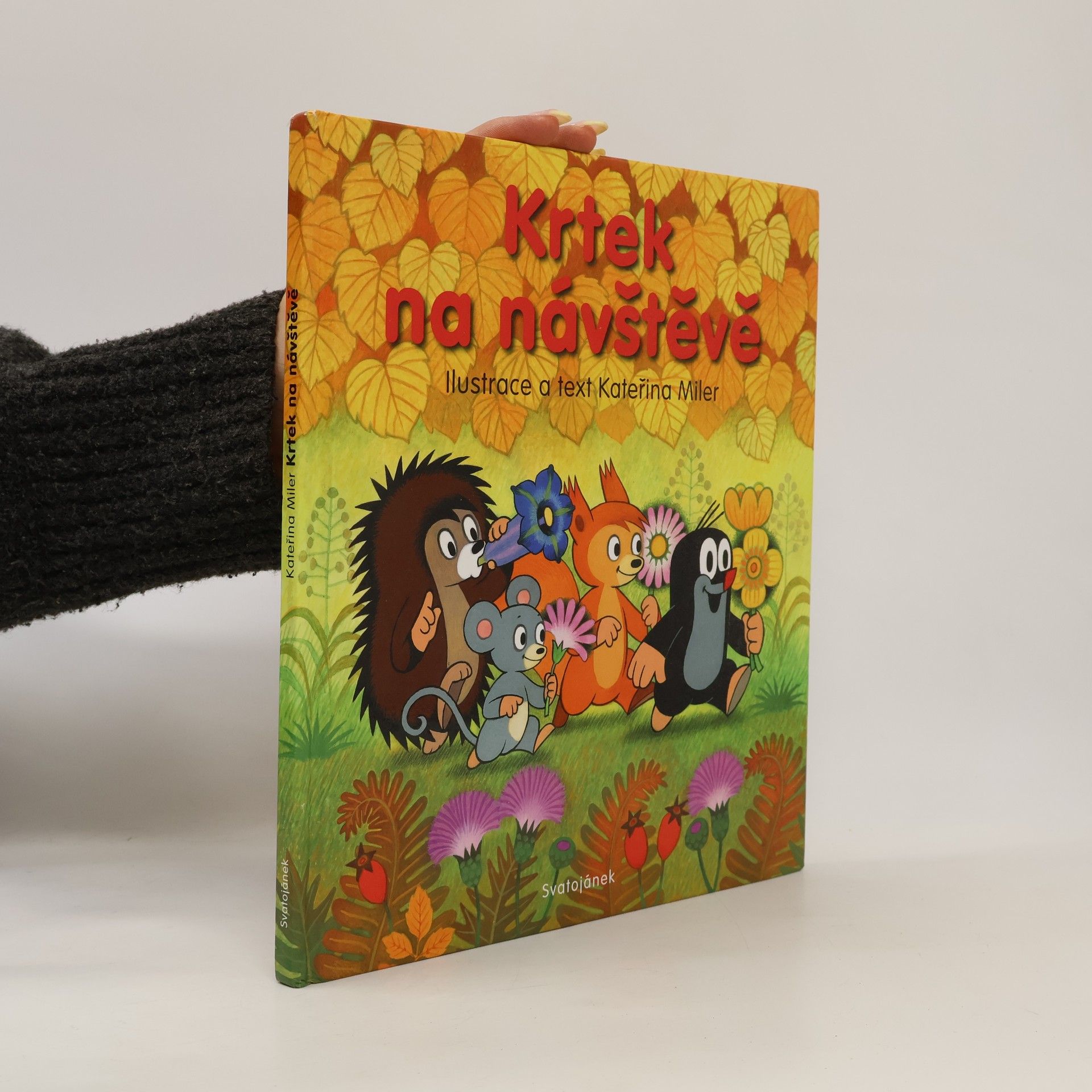 Kateřina Lovis Miler Krtek na návštěvě