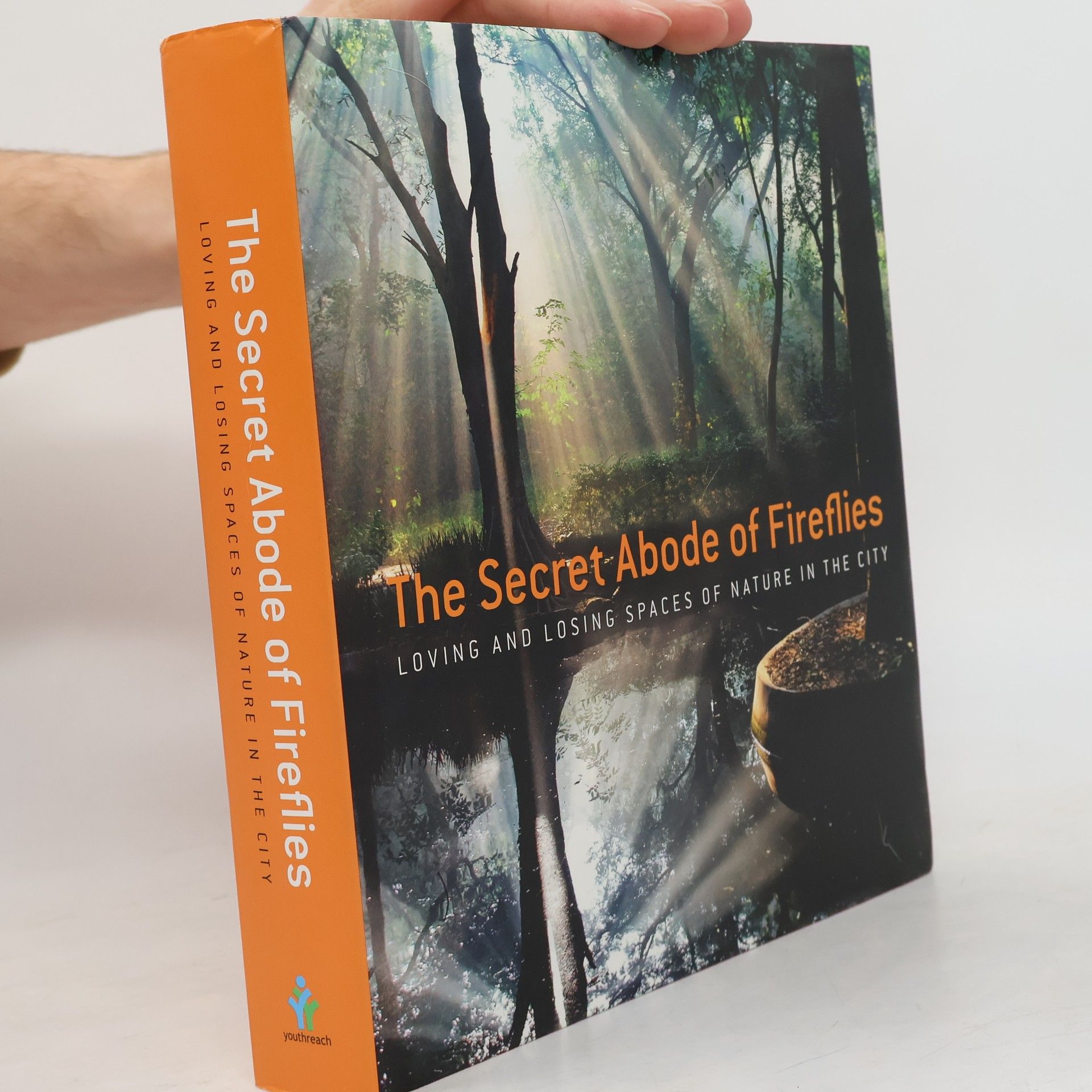 Nanni Singh The Secret Abode of Fireflies