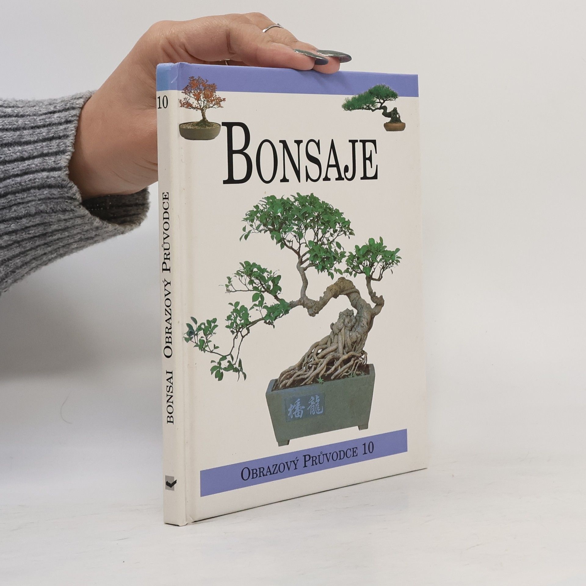 Autorenkollektiv Bonsaje