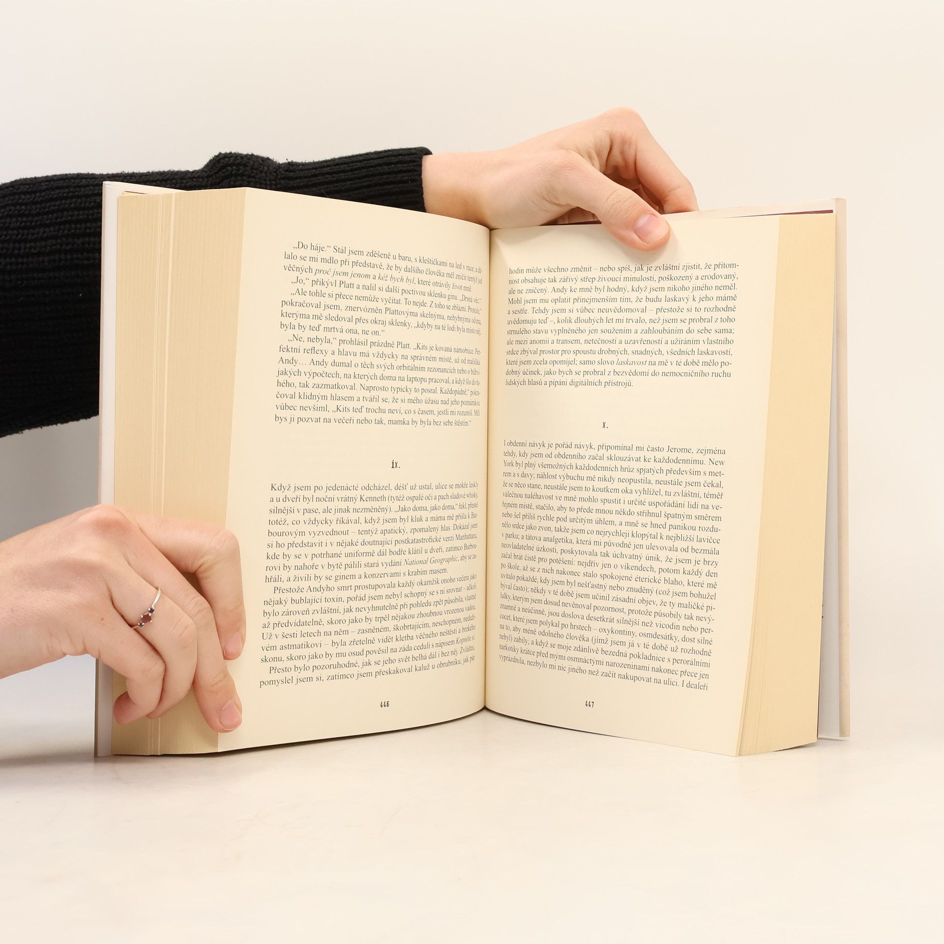 Donna Tartt Stehlík