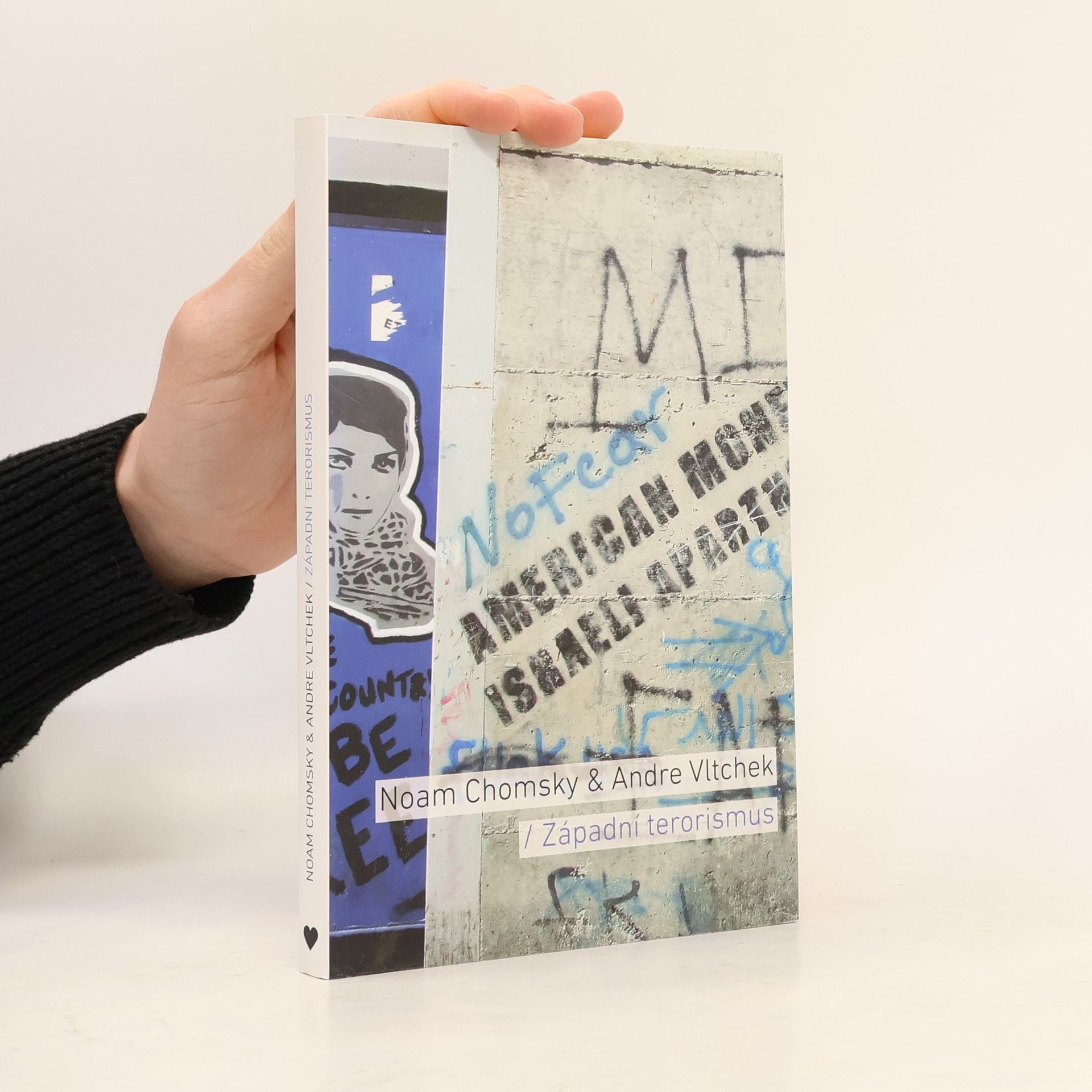 Noam Chomsky Západní terorismus