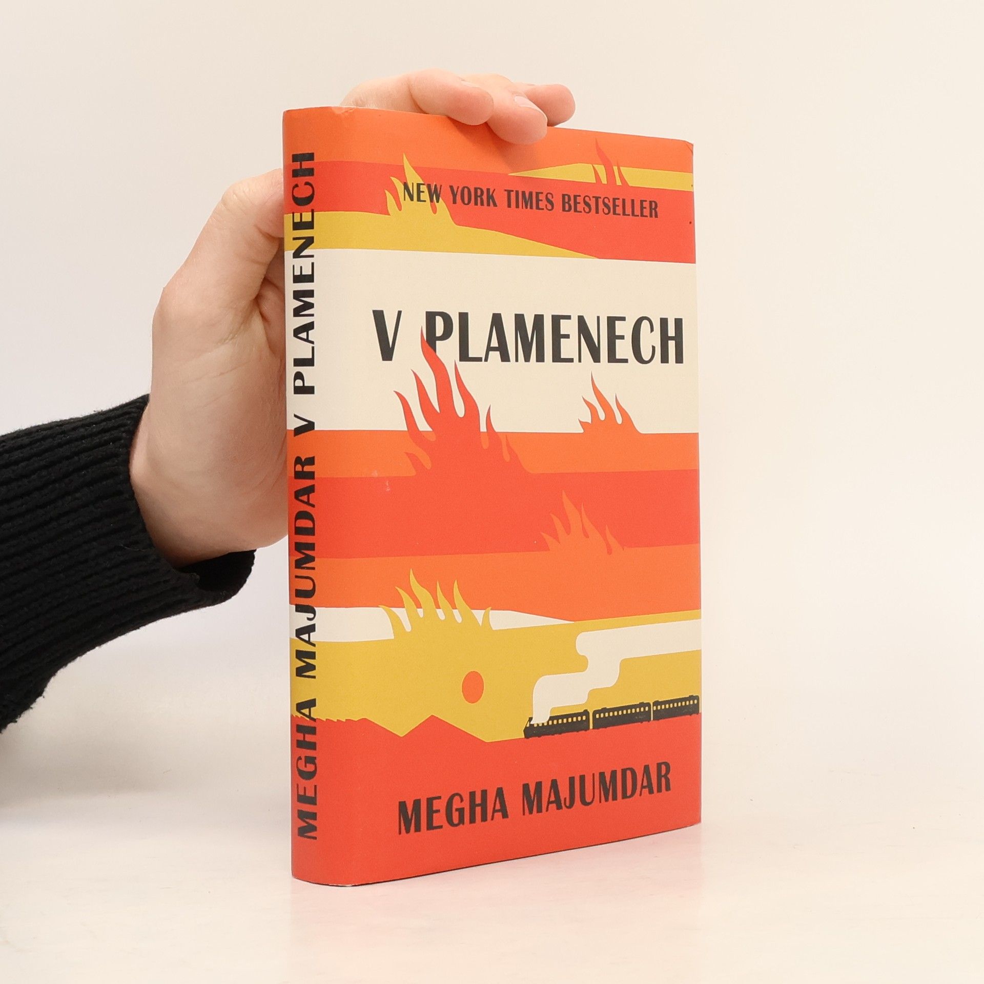 Megha Majumdar V plamenech