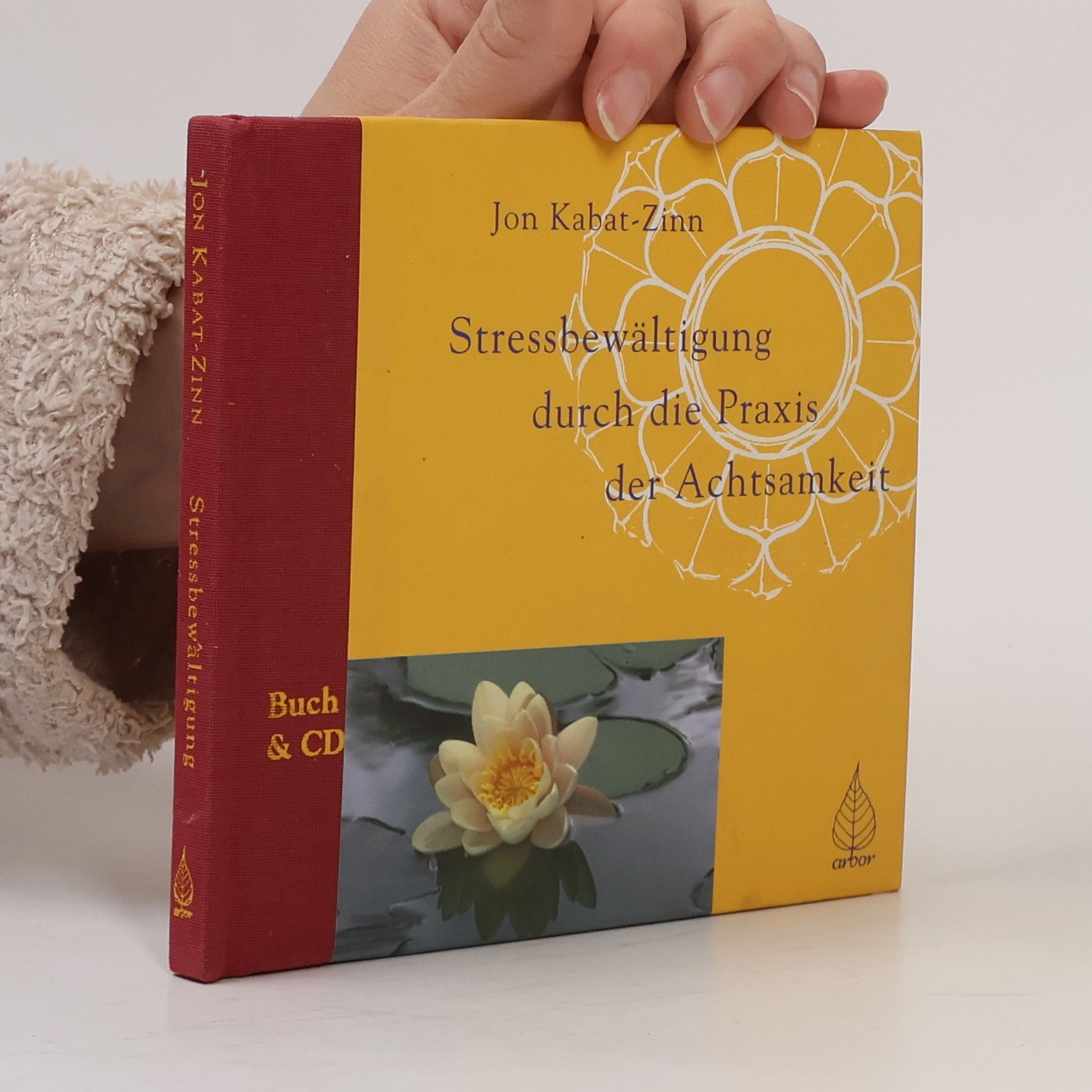Renate Seifarth Stressbewältigung durch die Praxis der Achtsamkeit