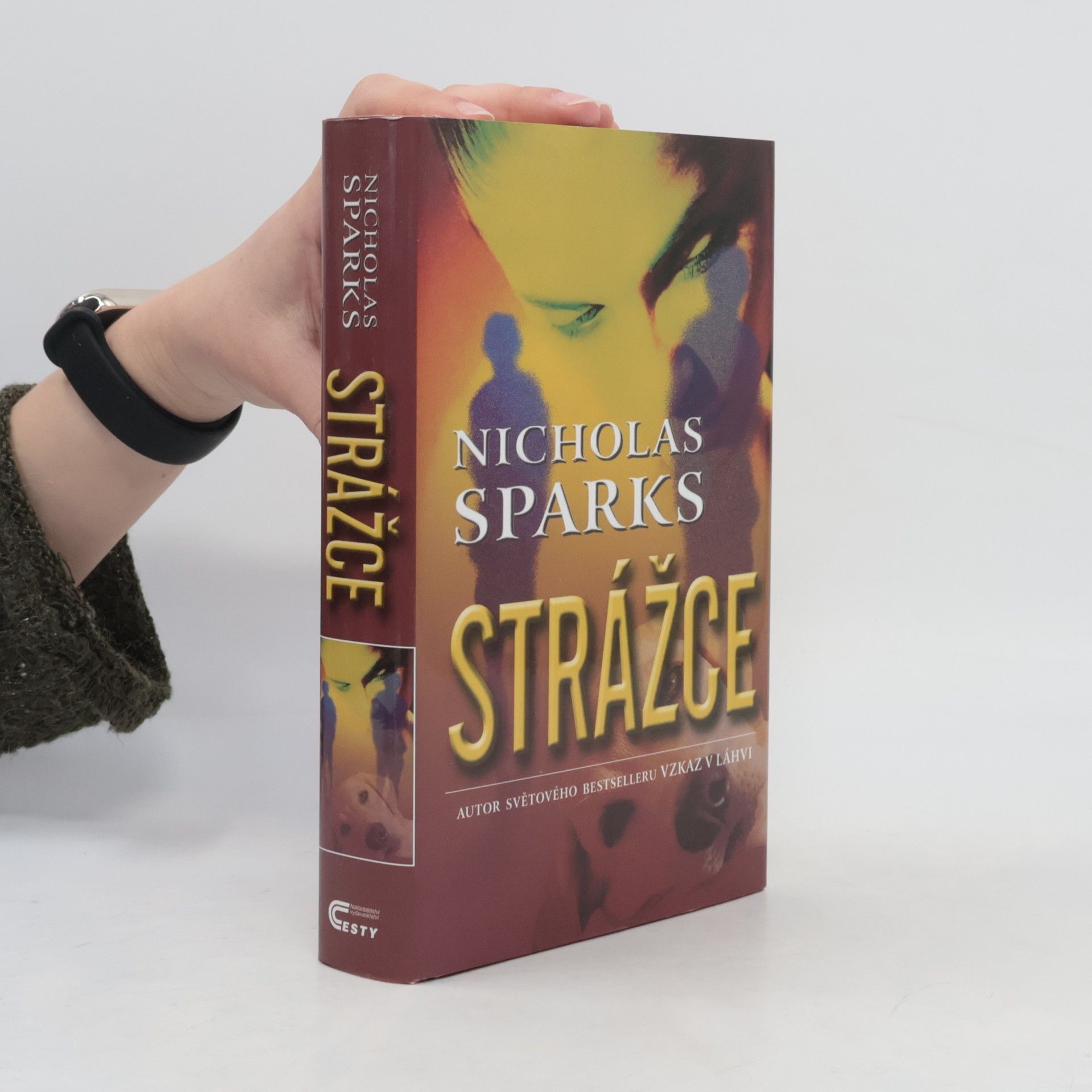Nicholas Sparks Strážce