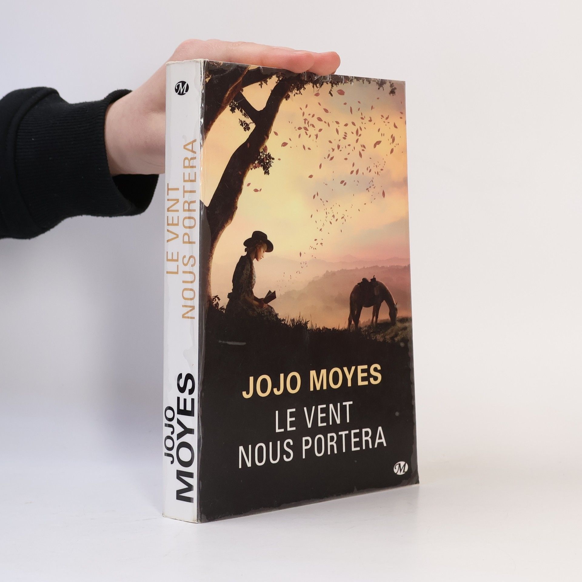 Jojo Moyes Le Vent nous portera