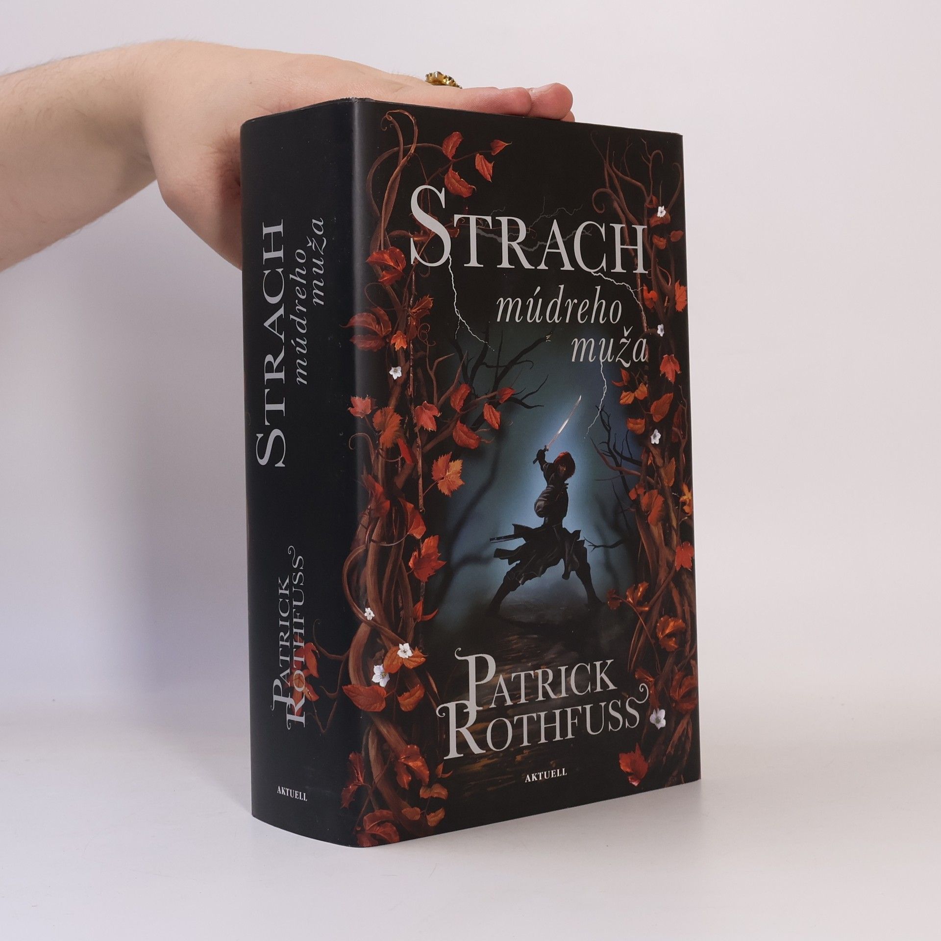 Patrick Rothfuss Strach múdreho muža