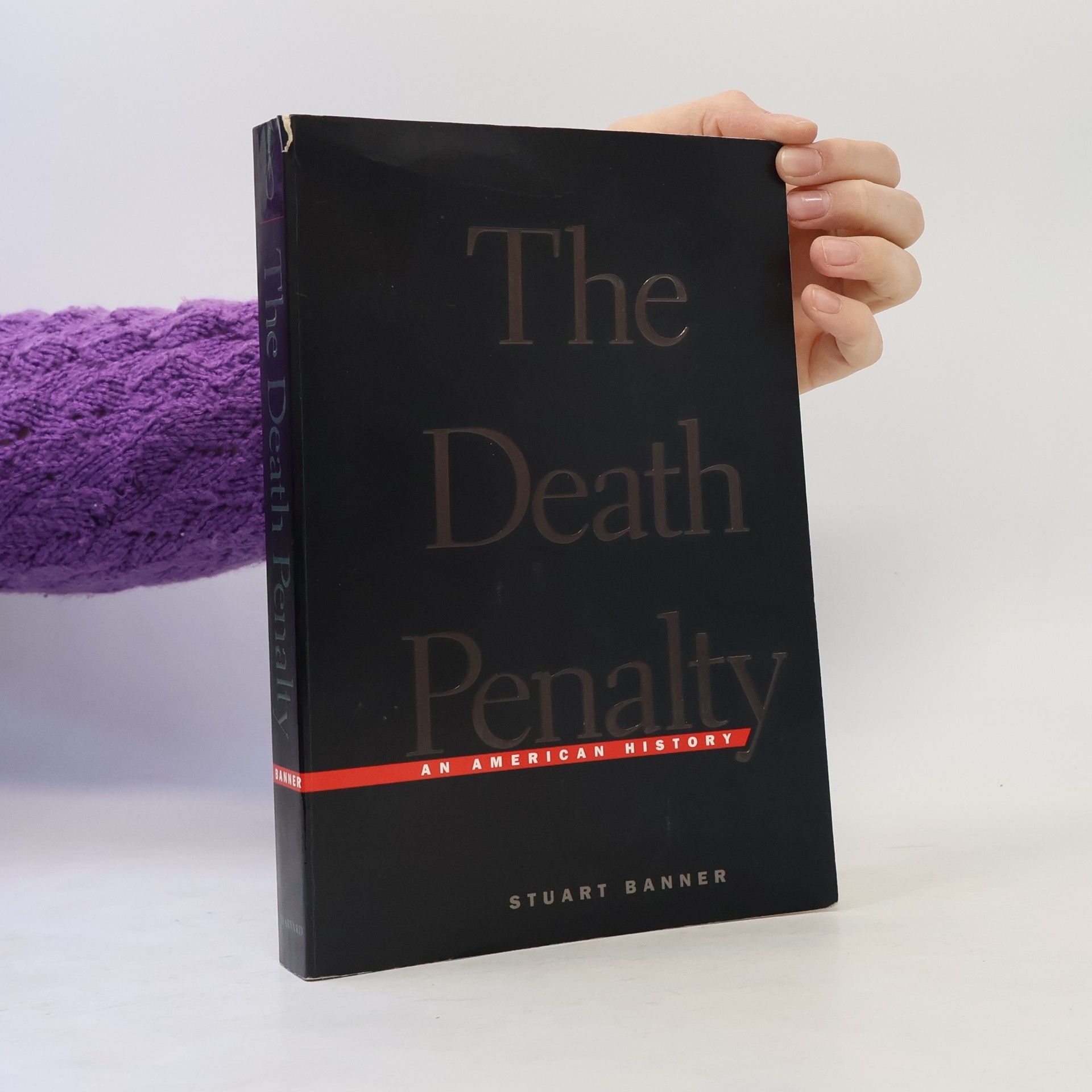 Stuart Banner The Death Penalty