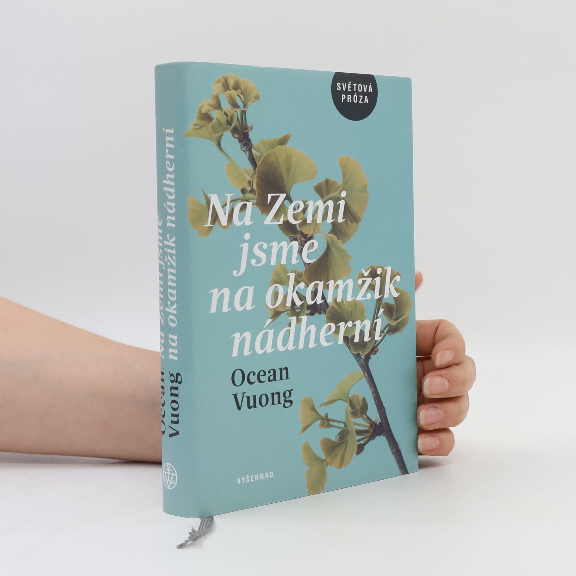 Ocean Vuong Na Zemi jsme na okamžik nádherní