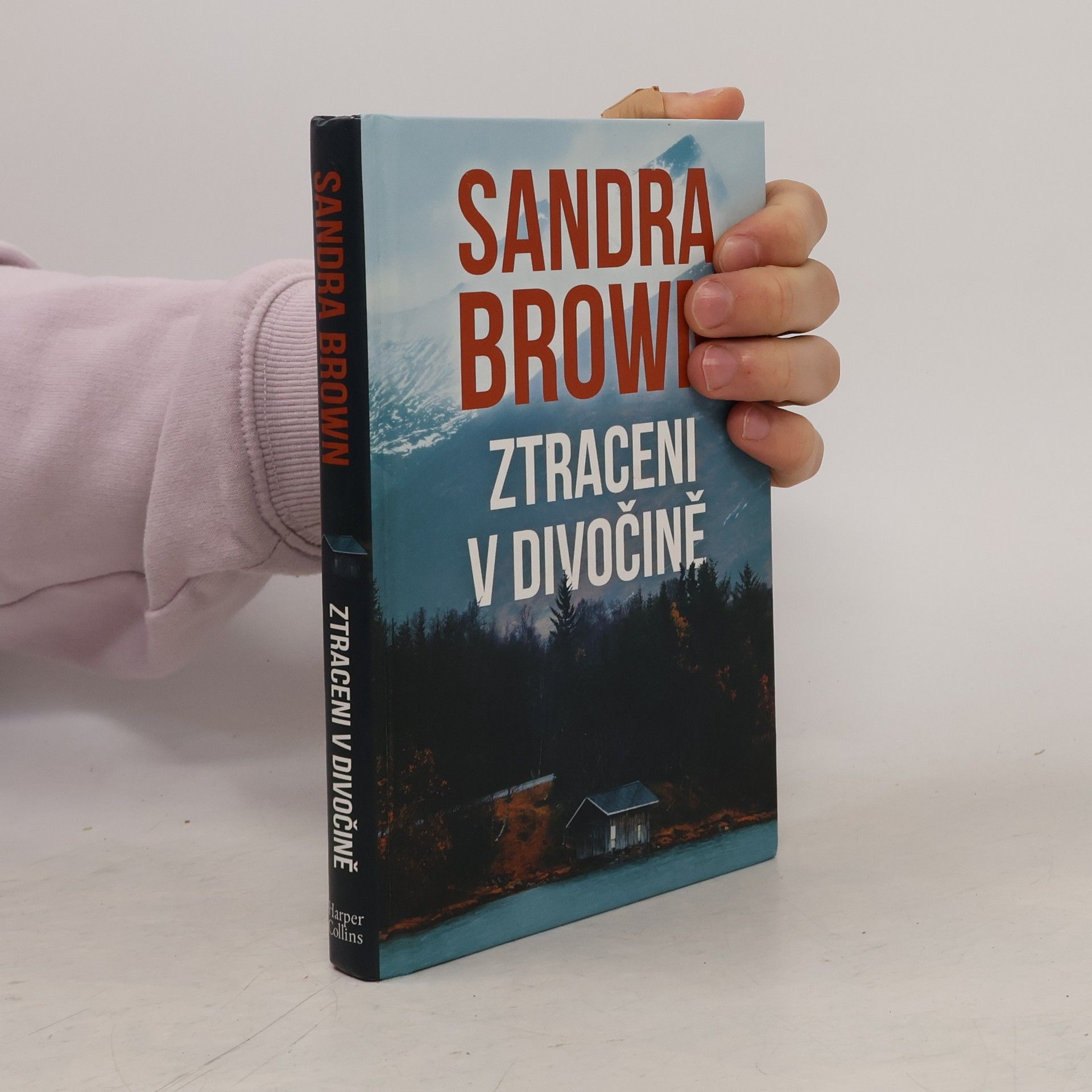 Sandra Brown Ztraceni v divočině