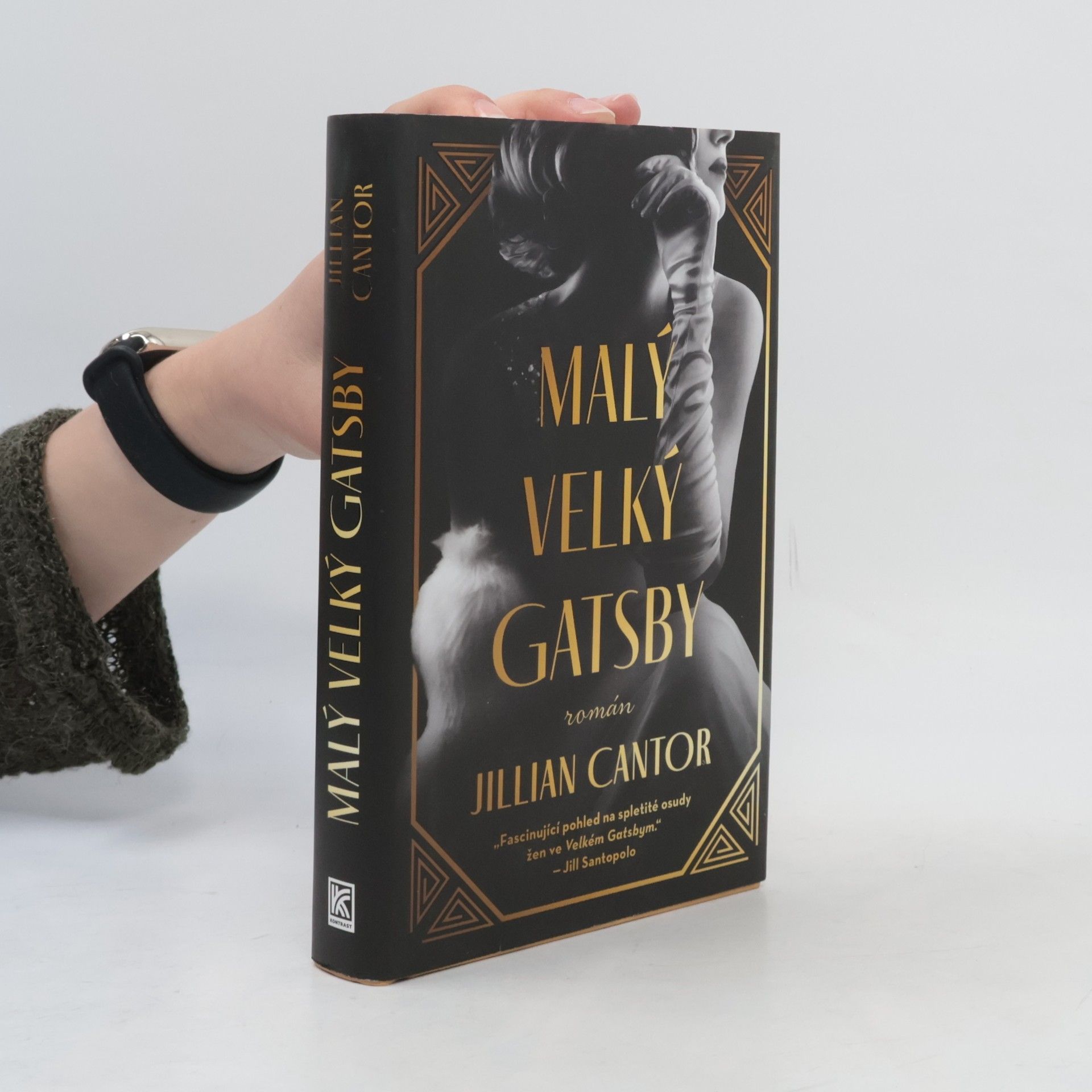 Jillian Cantor Malý velký Gatsby