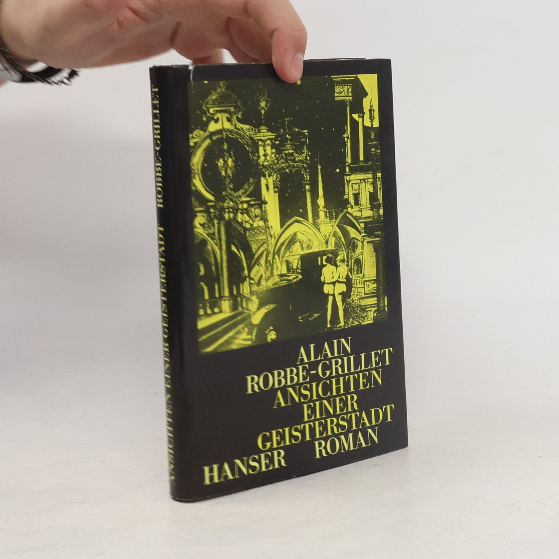 Ansichten einer Geisterstadt. Roman