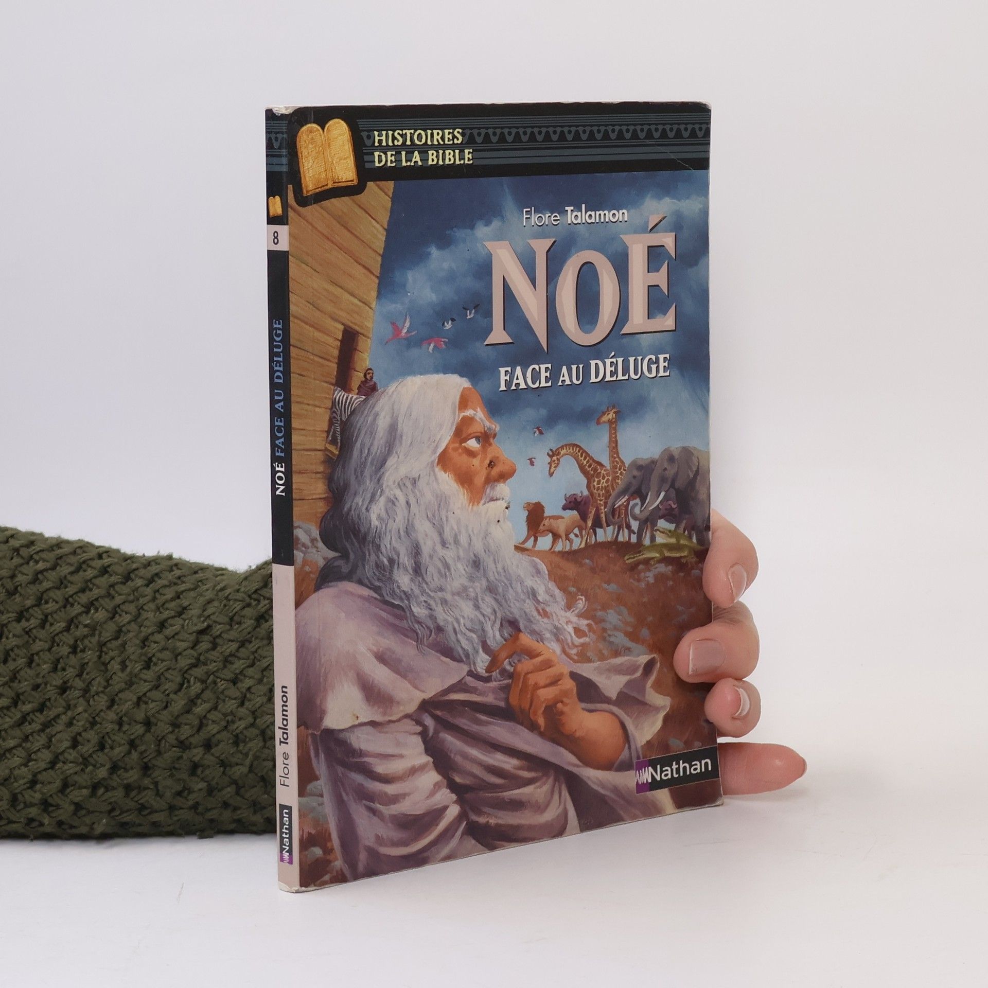 Flore Talamon Noé, face au déluge