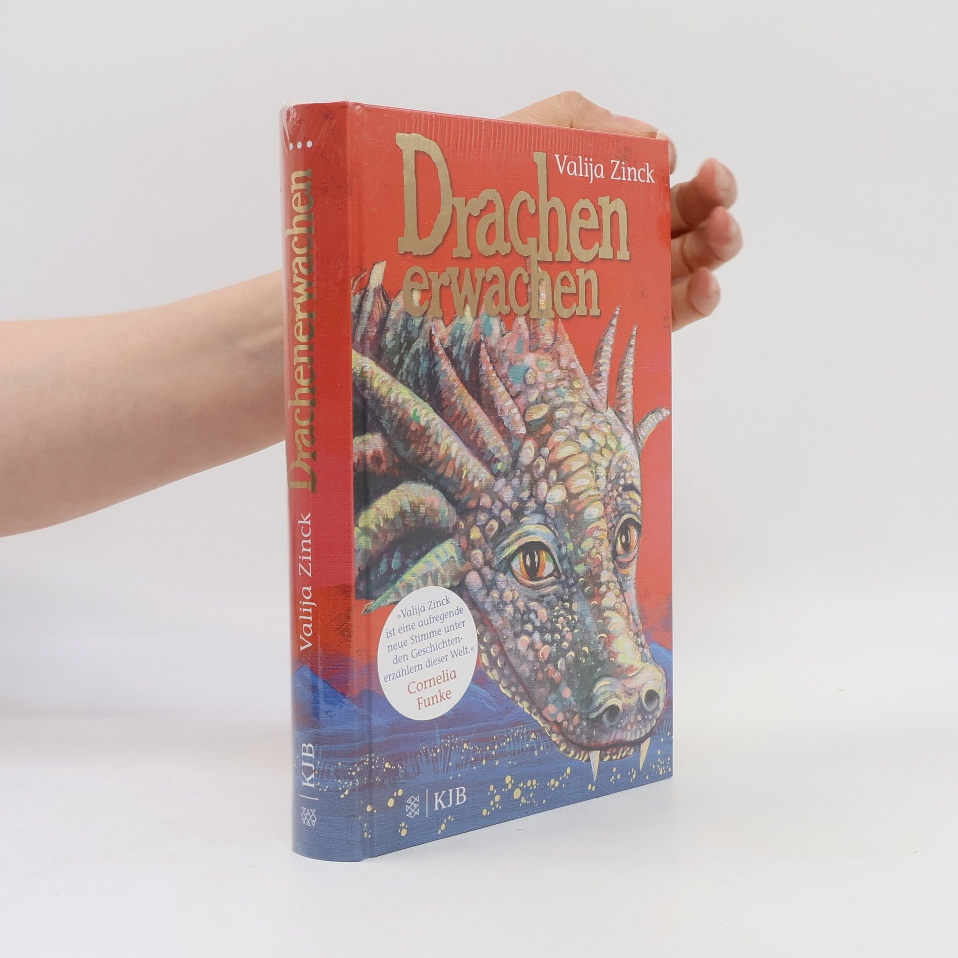 Valija Zinck Drachenerwachen