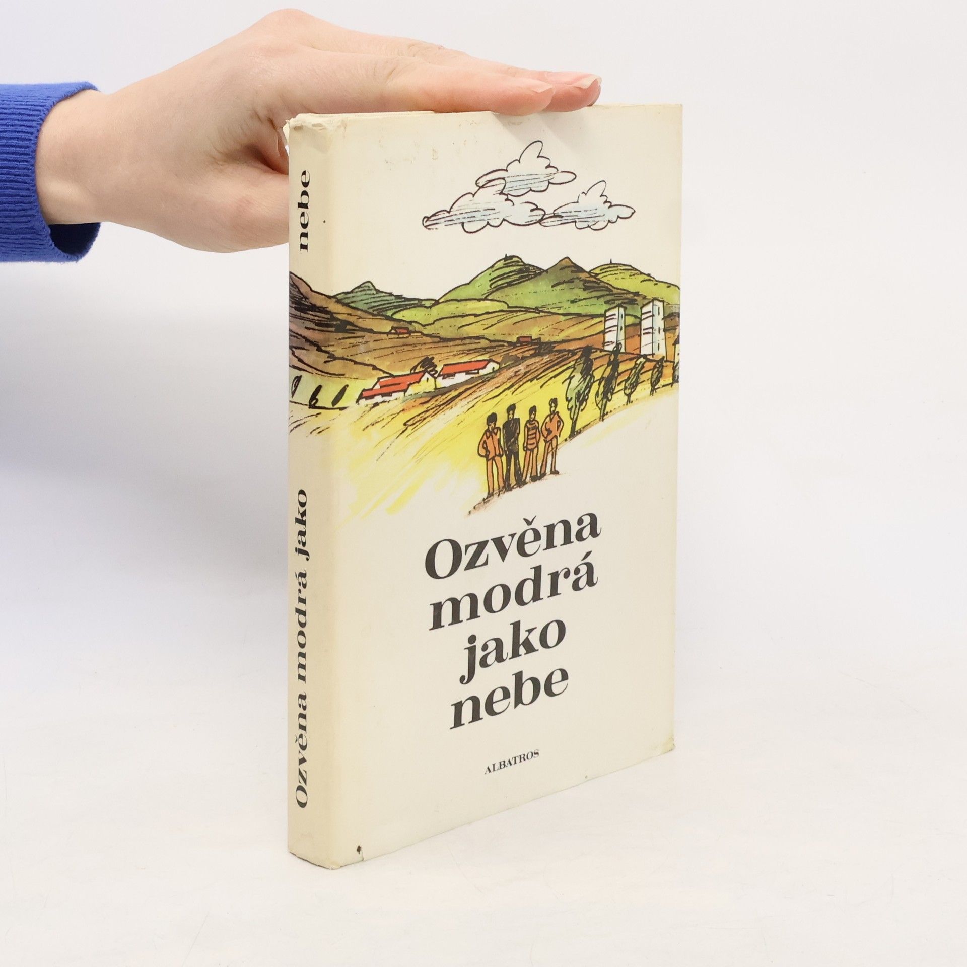 Kolektiv autorů Ozvěna modrá jako nebe. Sborník povídek o dětech