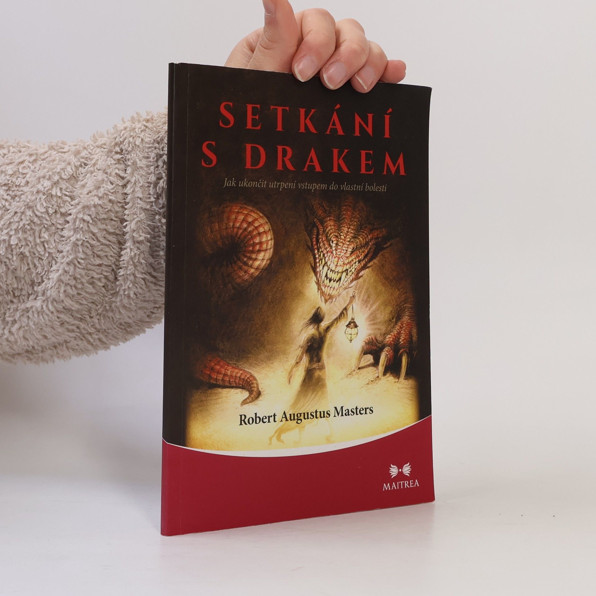 Robert Augustus Masters Setkání s drakem : jak ukončit utrpení vstupem do vlastní bolesti