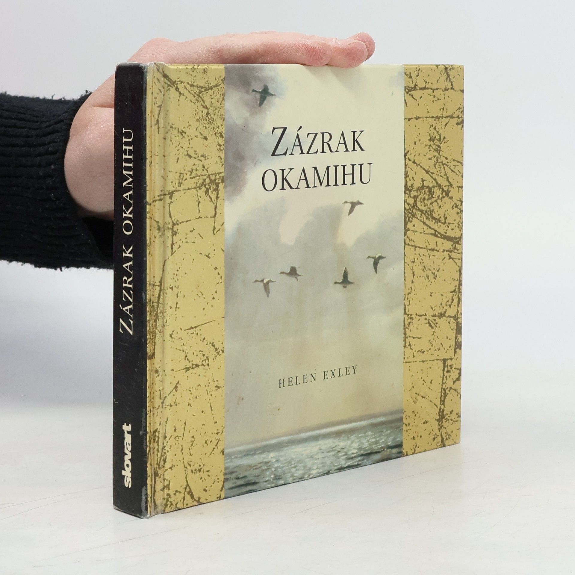 Helen Exley Zázrak okamihu