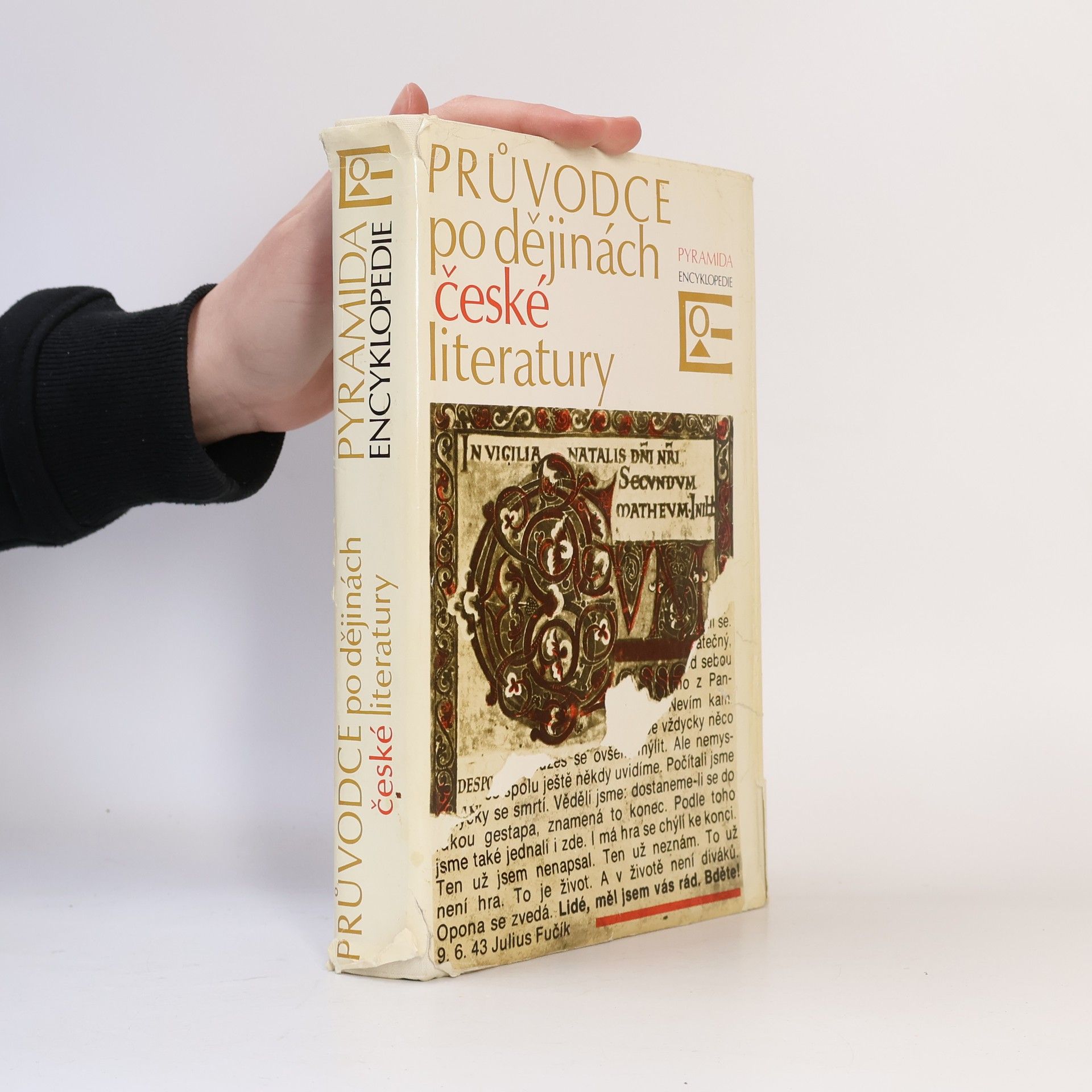 Průvodce po dějinách české literatury