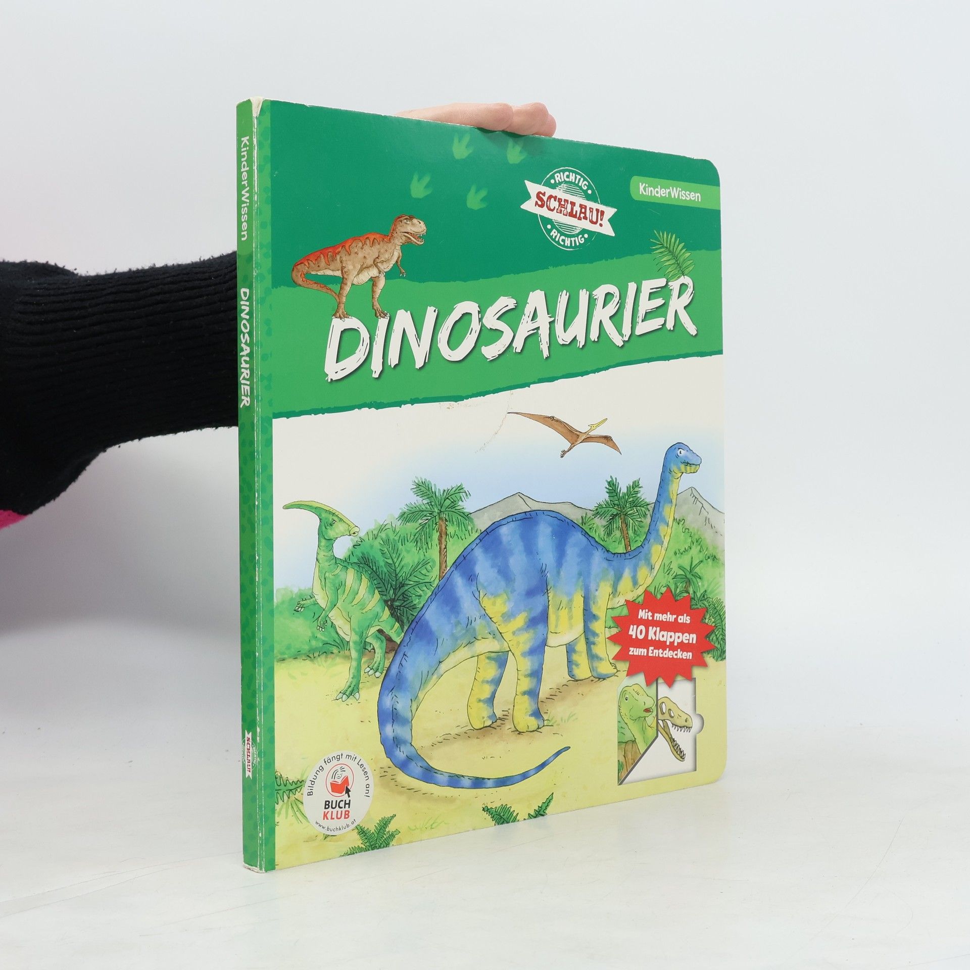 Heike Herrman Dinosaurier