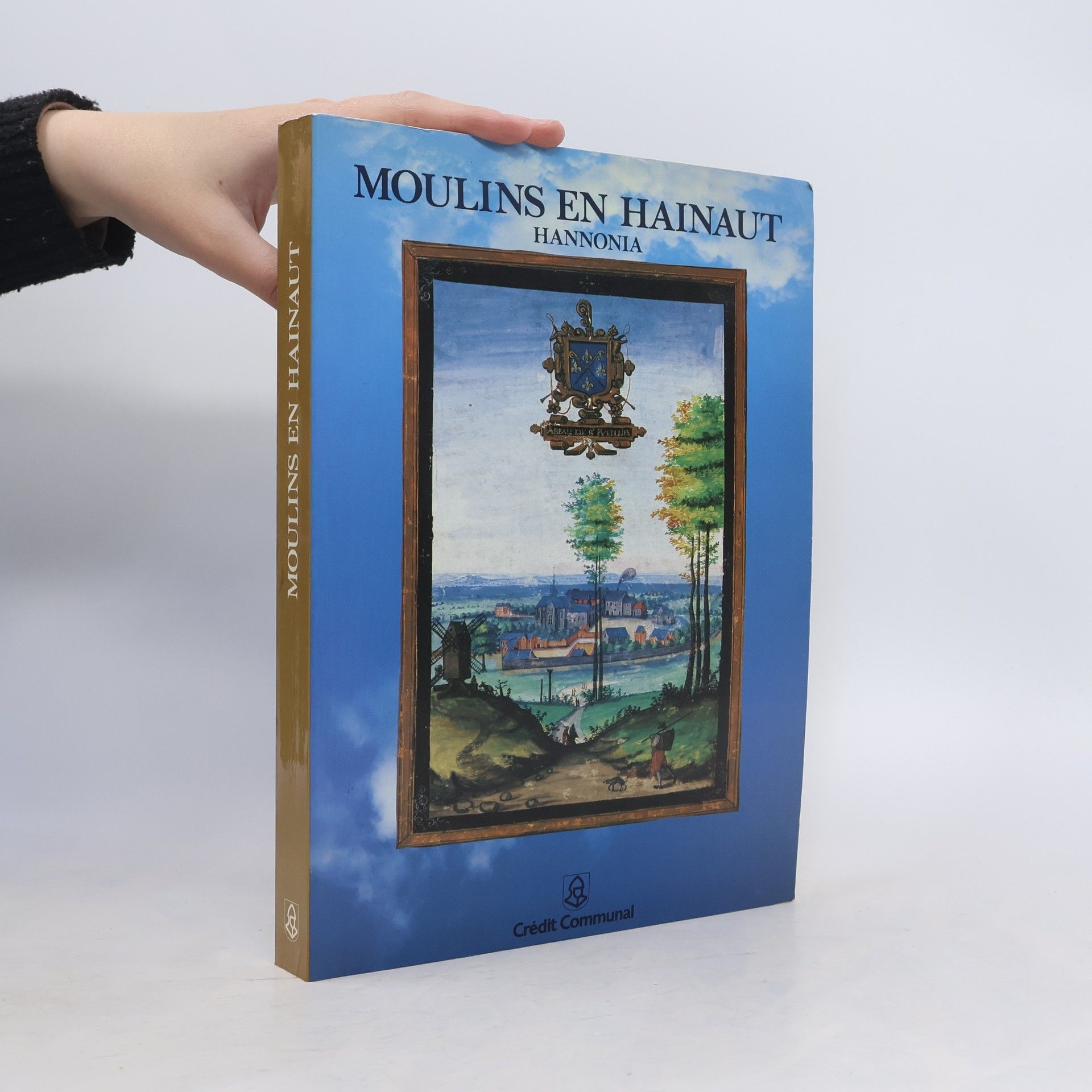 Autores varios Moulins en Hainaut