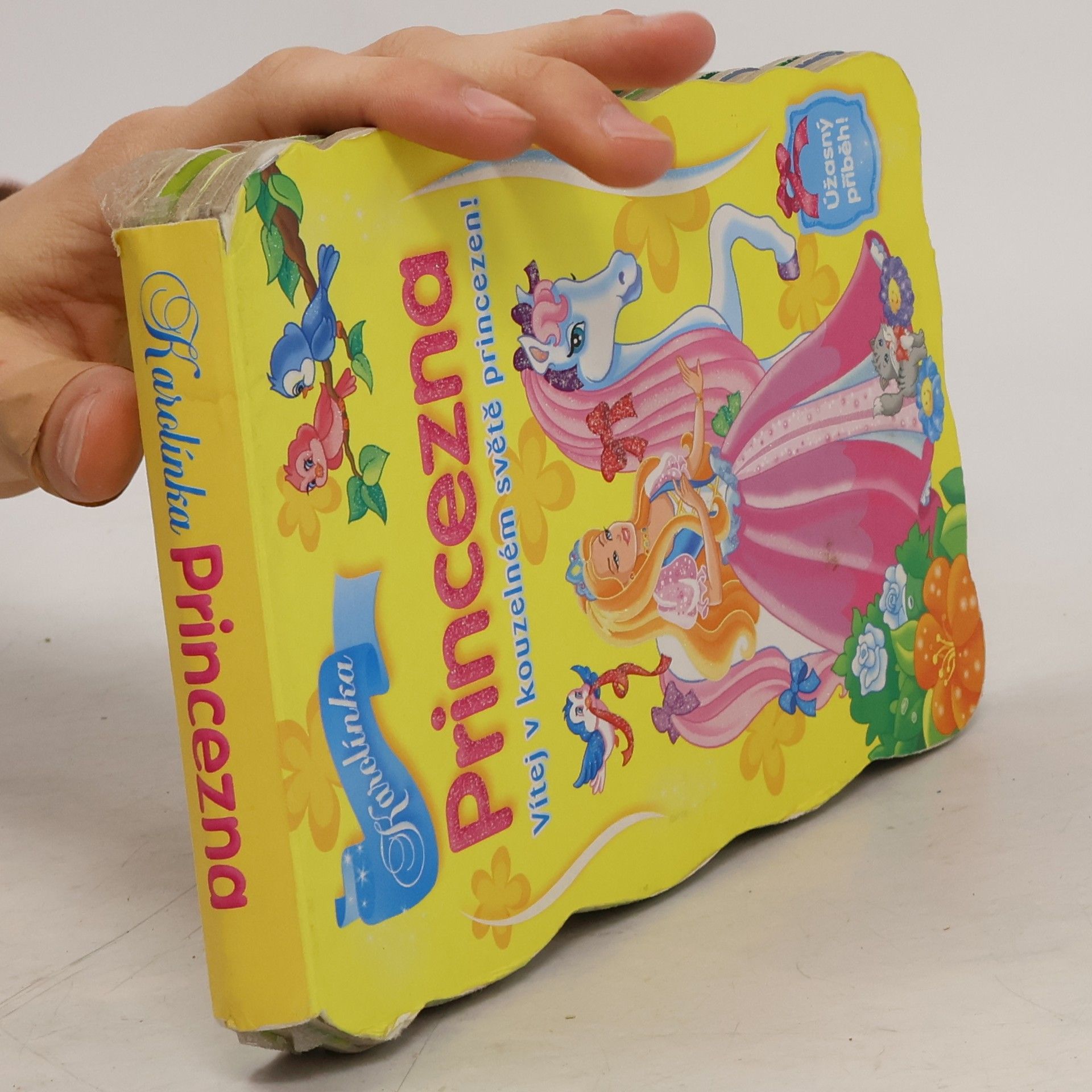 Various authors Princezna: Vítej v kouzelném světě princezen!