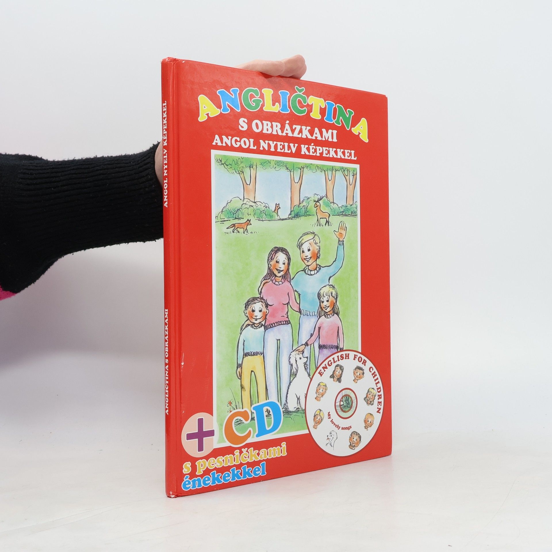 Collectif d'auteurs Angličtina s obrázkami