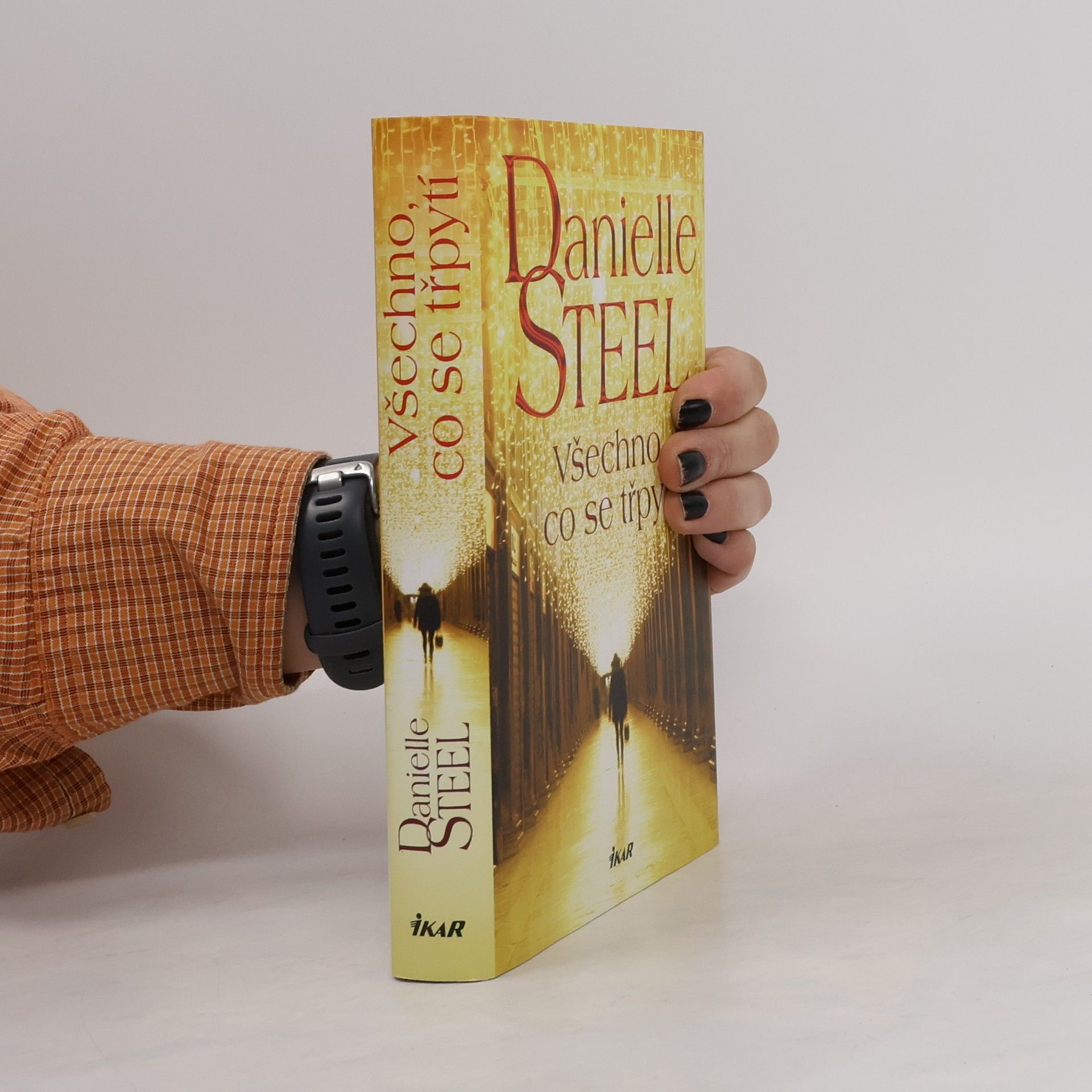 Danielle Steel Všechno, co se třpytí