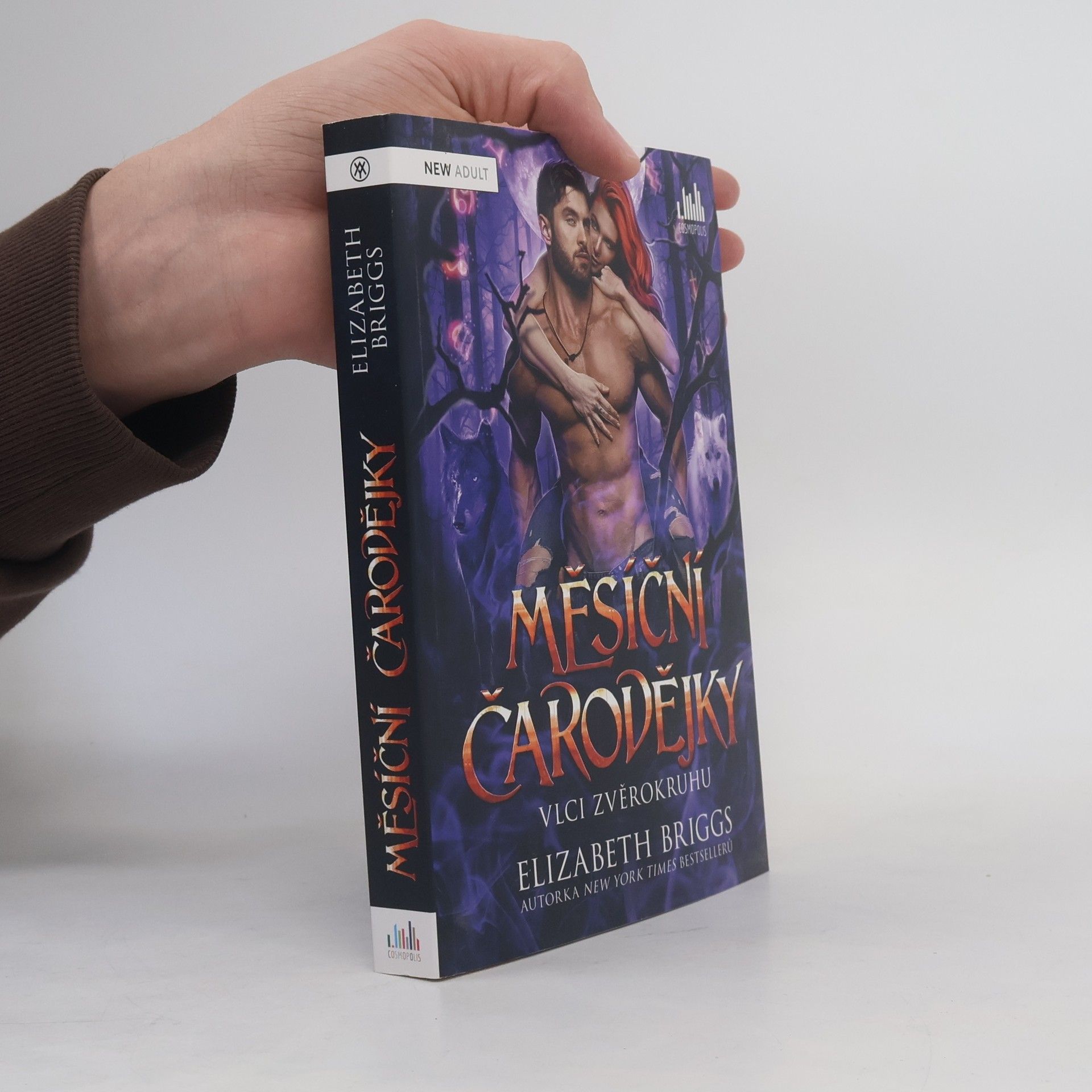 Elizabeth Briggs Měsíční čarodějky: Vlci zvěrokruhu