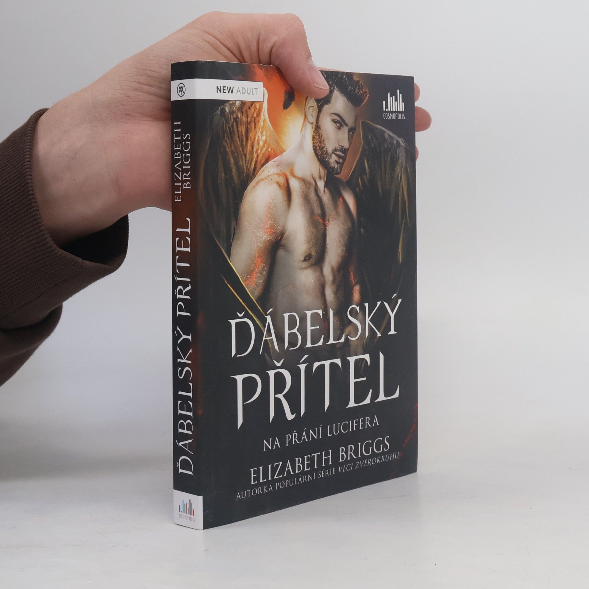 Elizabeth Briggs Ďábelský přítel. Na přání Lucifera