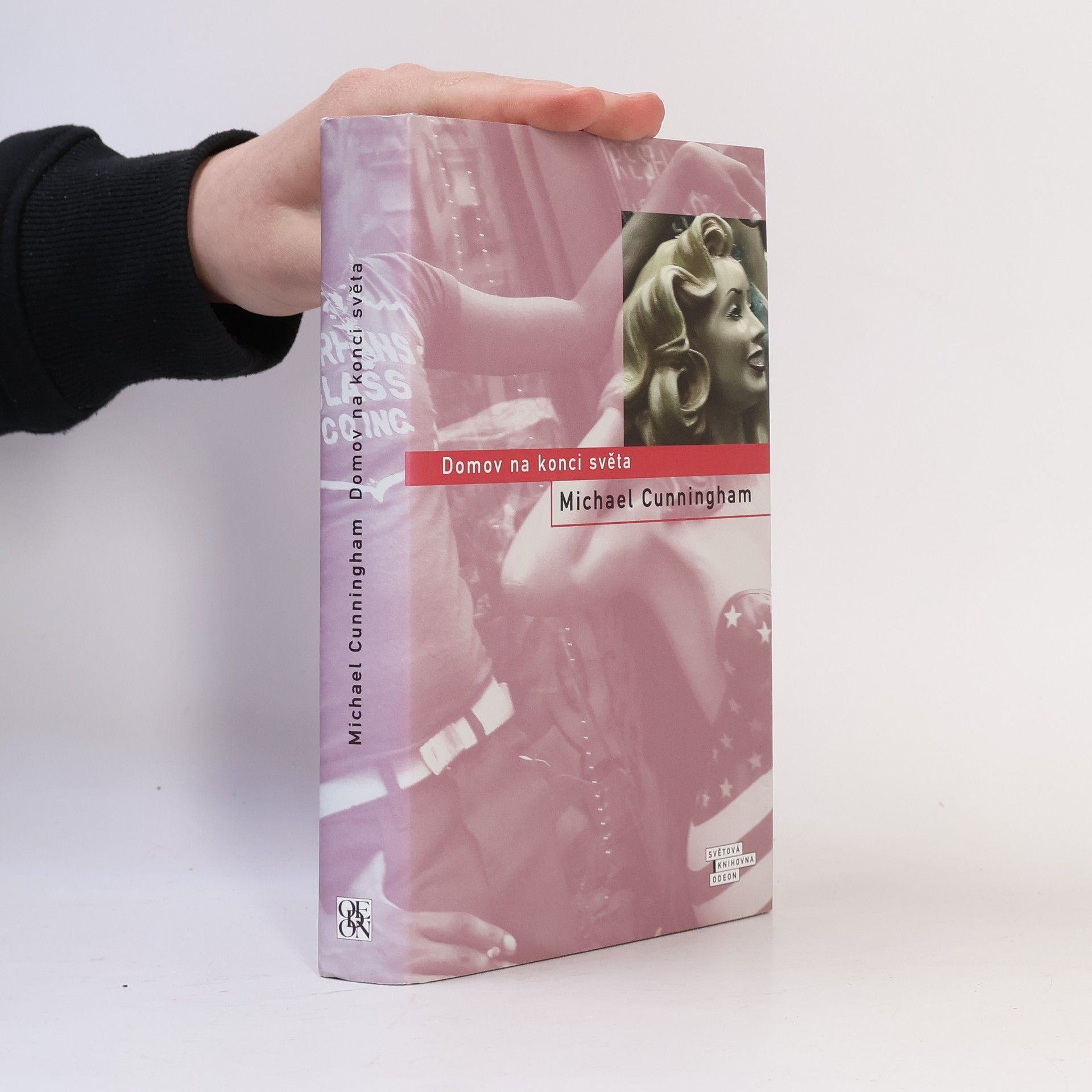 Michael Cunningham Domov na konci světa