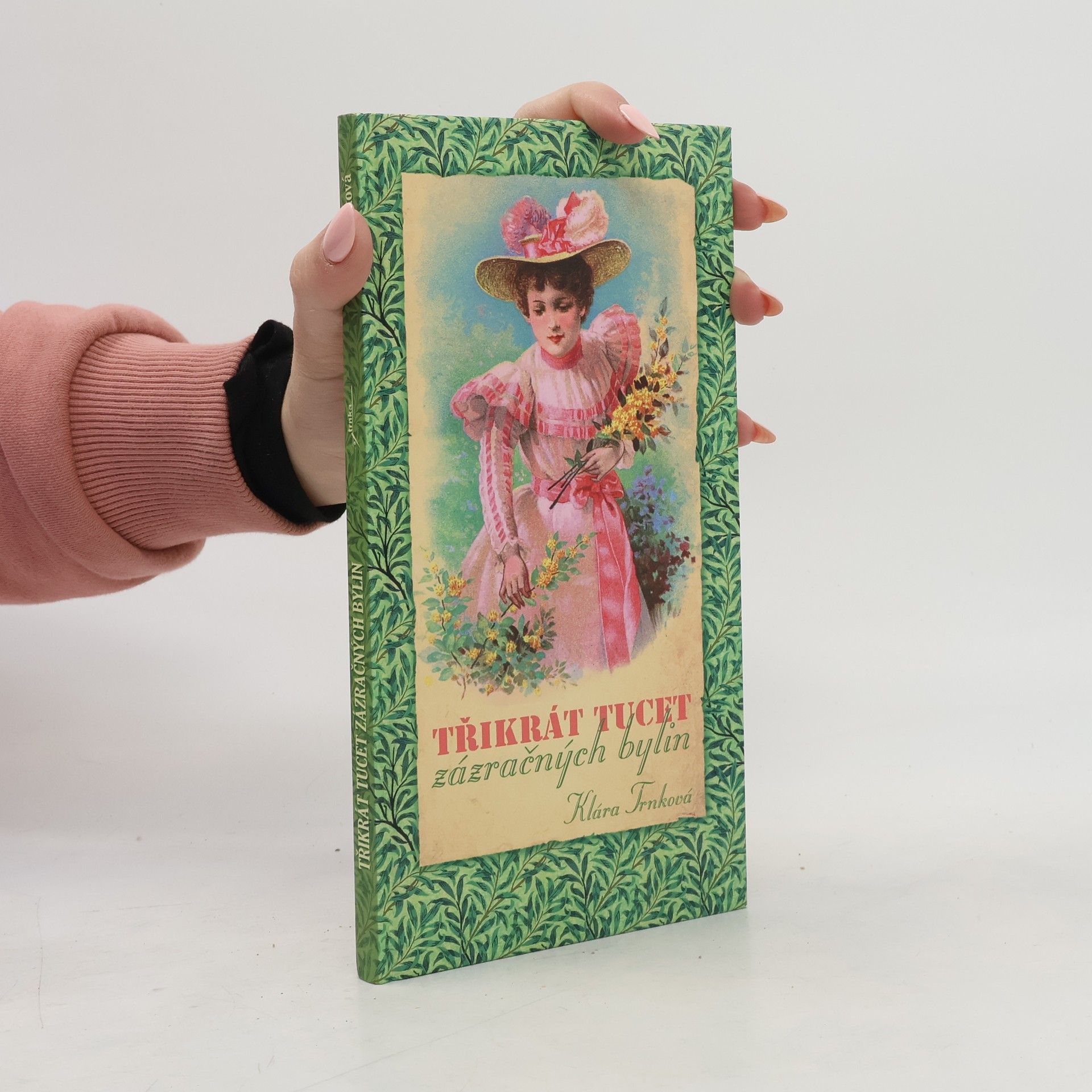 Klára Trnková Třikrát tucet zázračných bylin