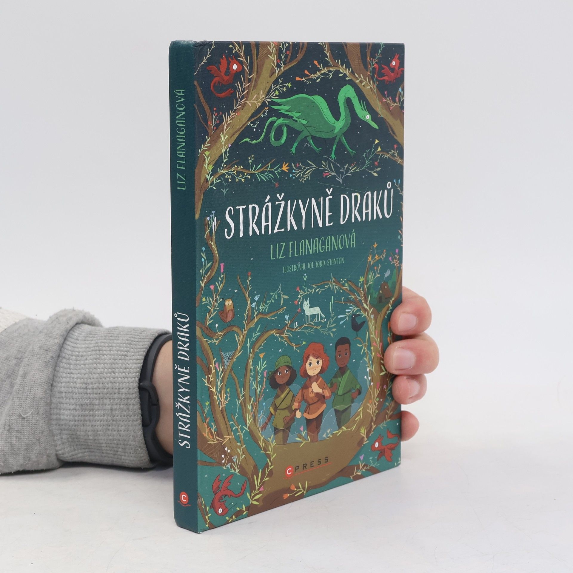 Joe Todd-Stanton Strážkyně draků