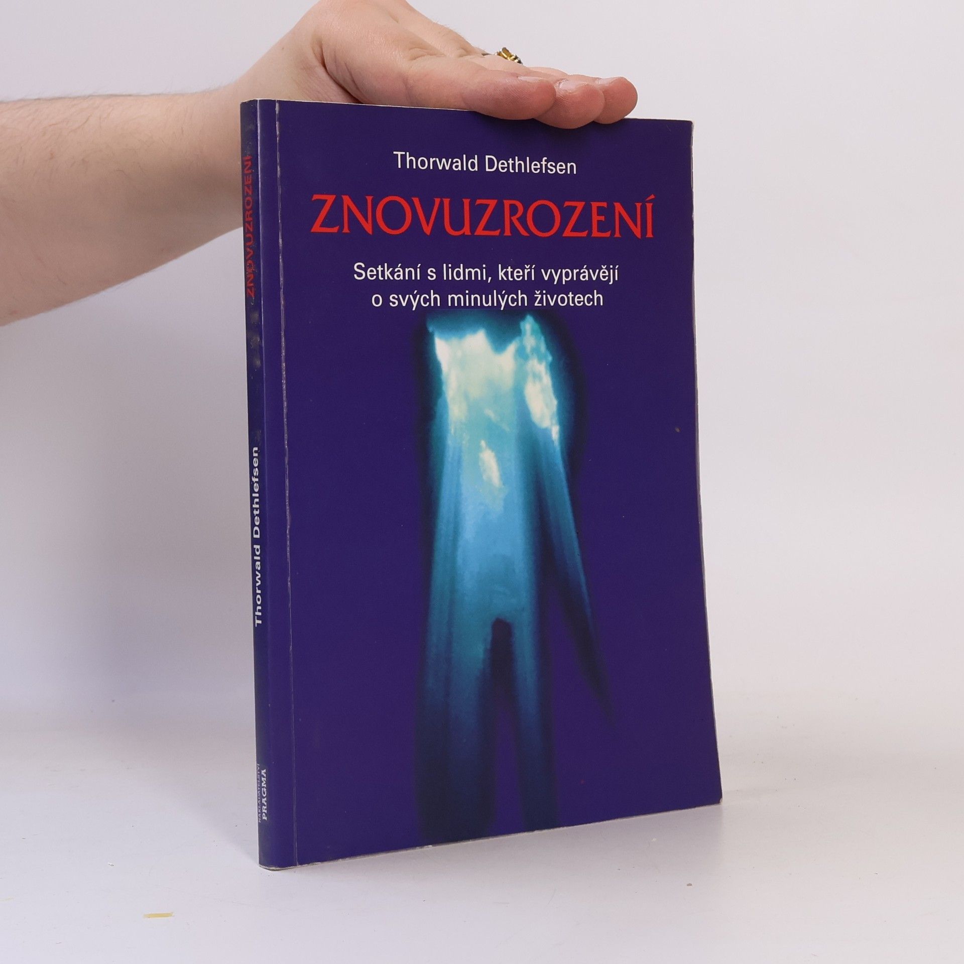 Znovuzrození : setkání s lidmi, kteří vyprávějí o svých minulých životech